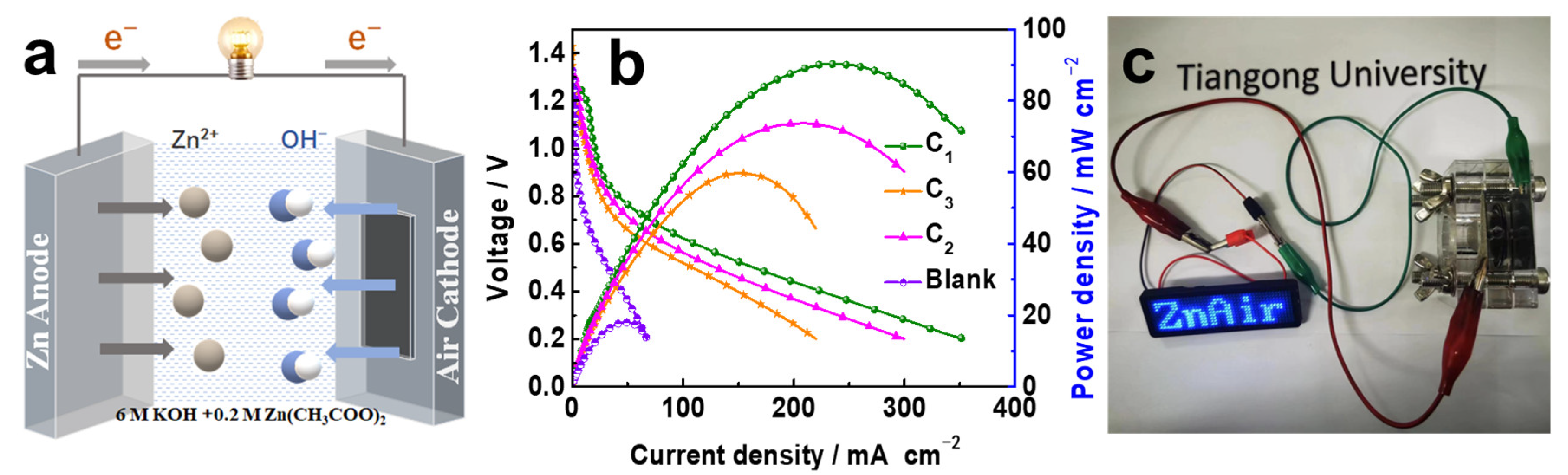 Catalysts 13 01059 g006