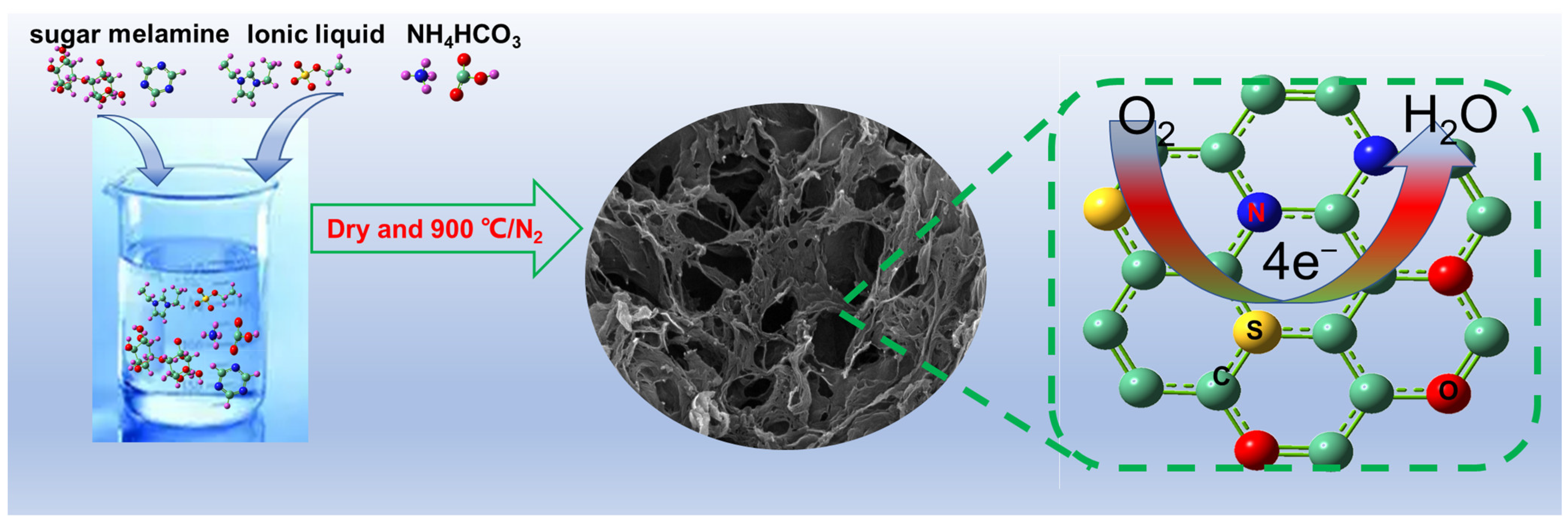 Catalysts 13 01059 g007