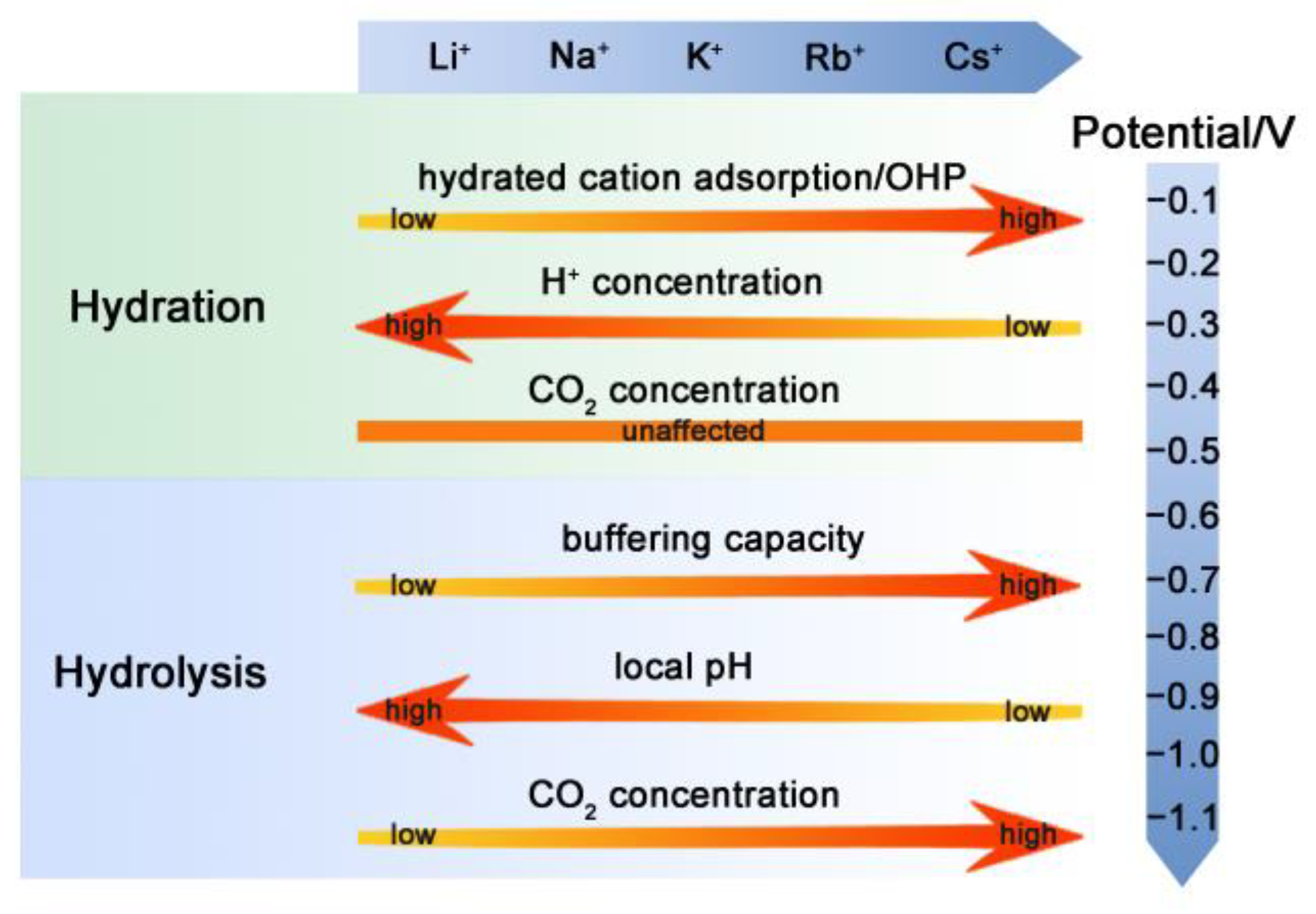 Catalysts 13 01092 g006