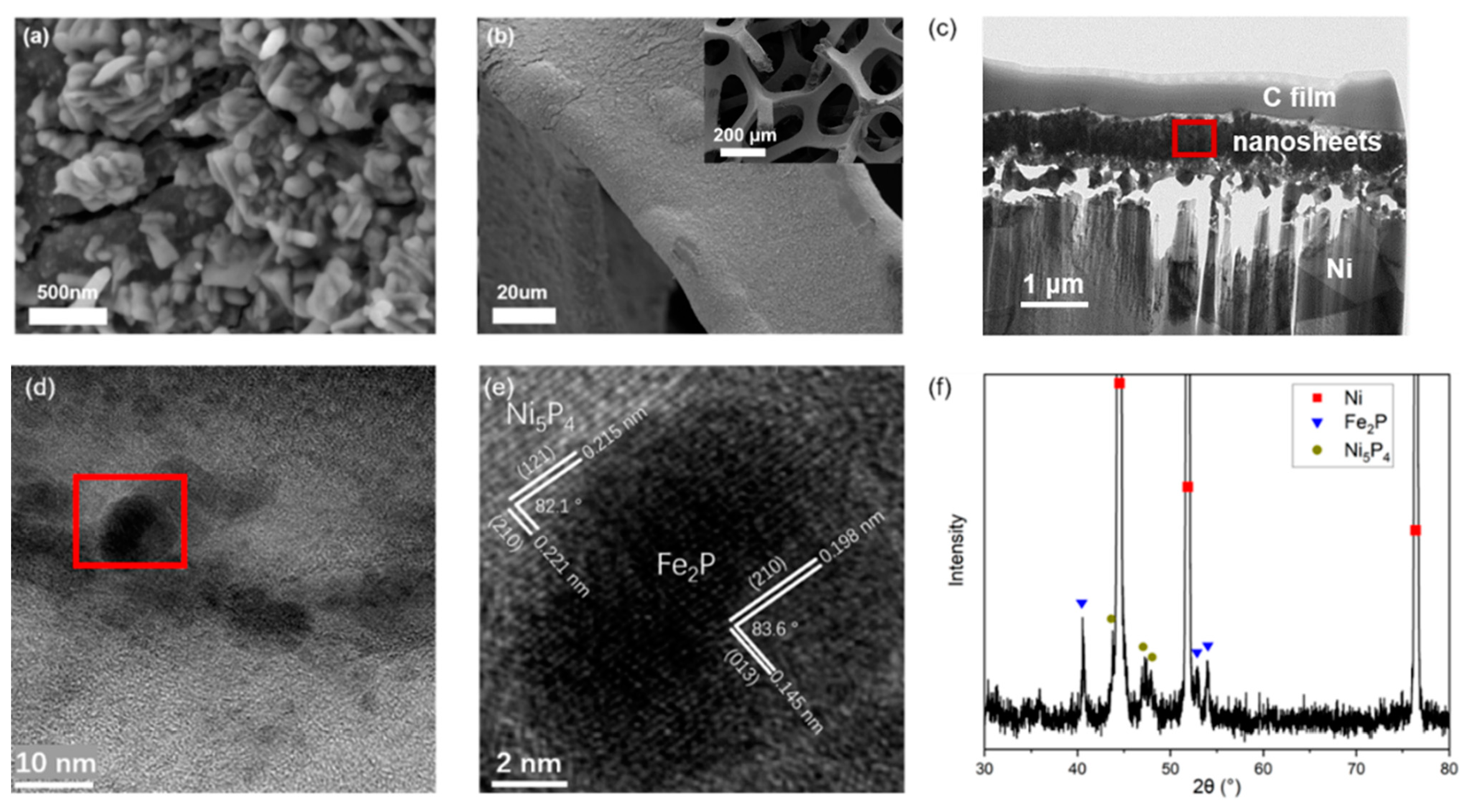 Catalysts 13 01242 g002