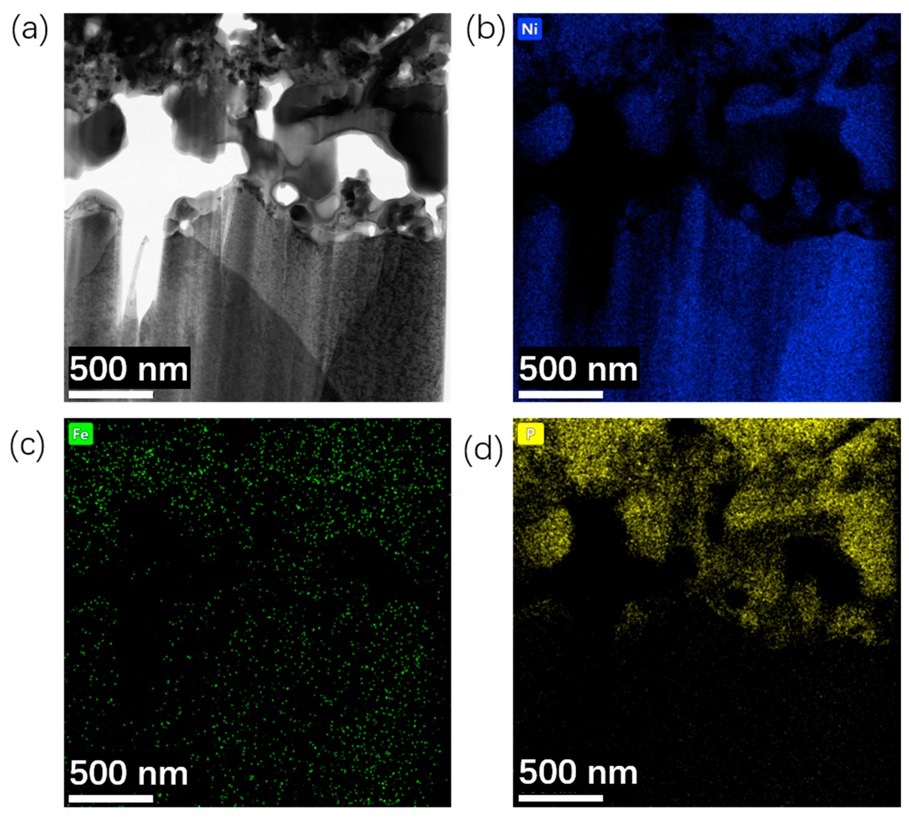 Catalysts 13 01242 g003