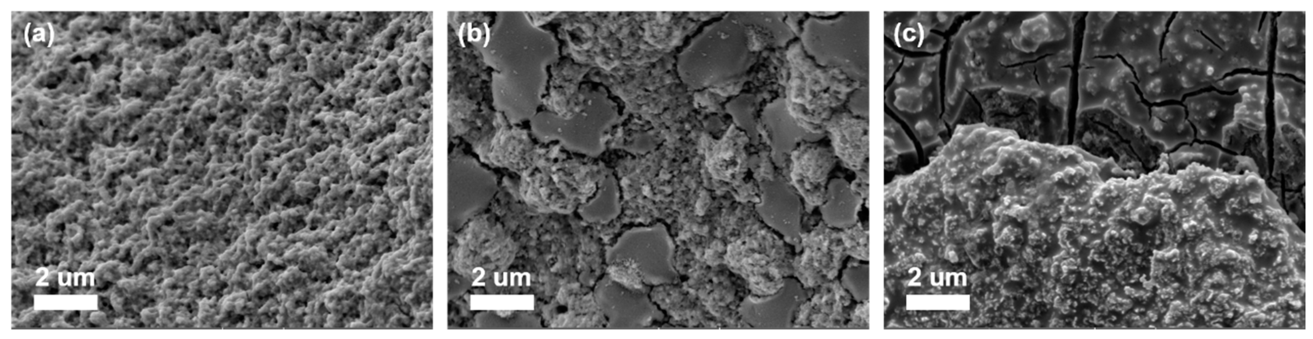 Catalysts 13 01242 g009