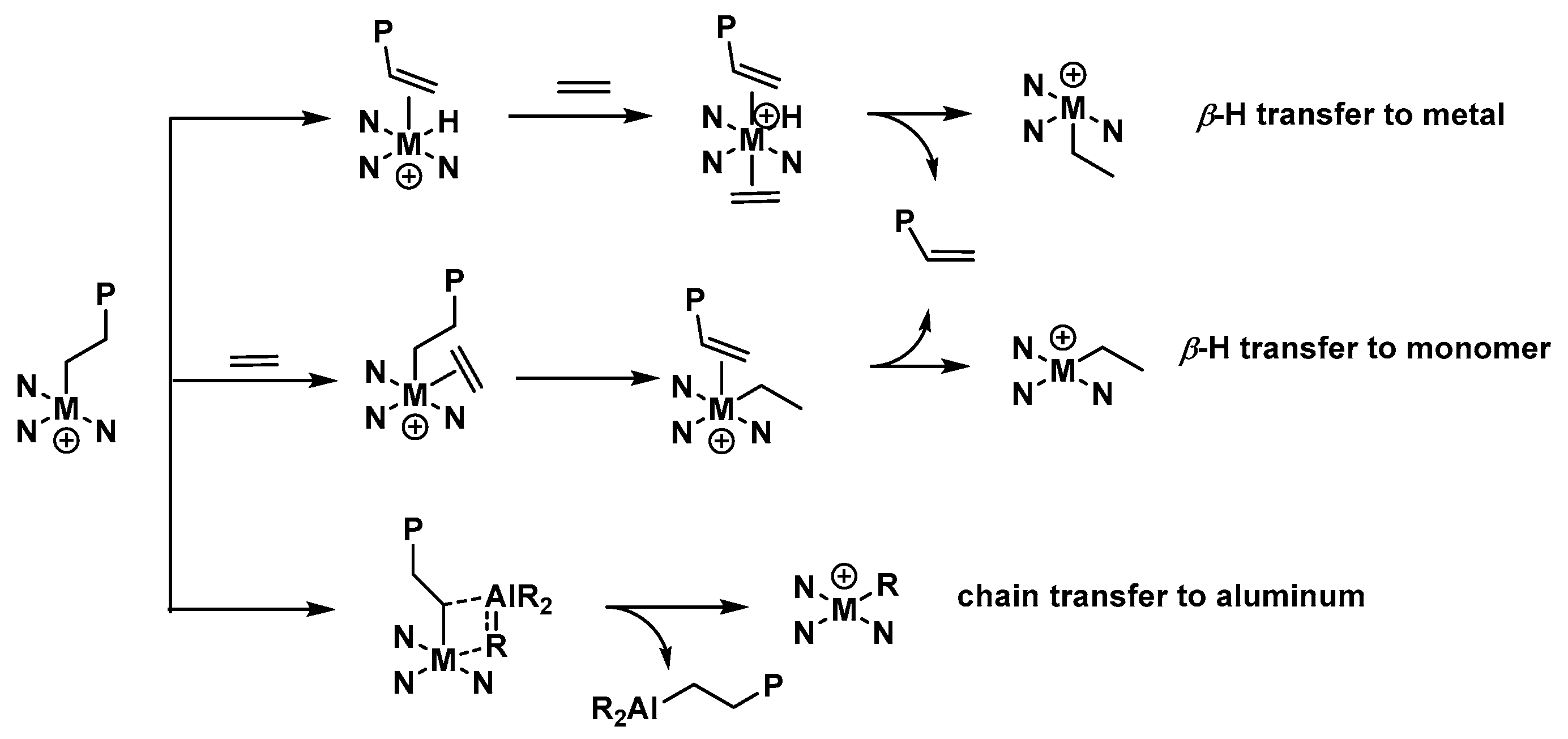 Catalysts 13 01387 sch003