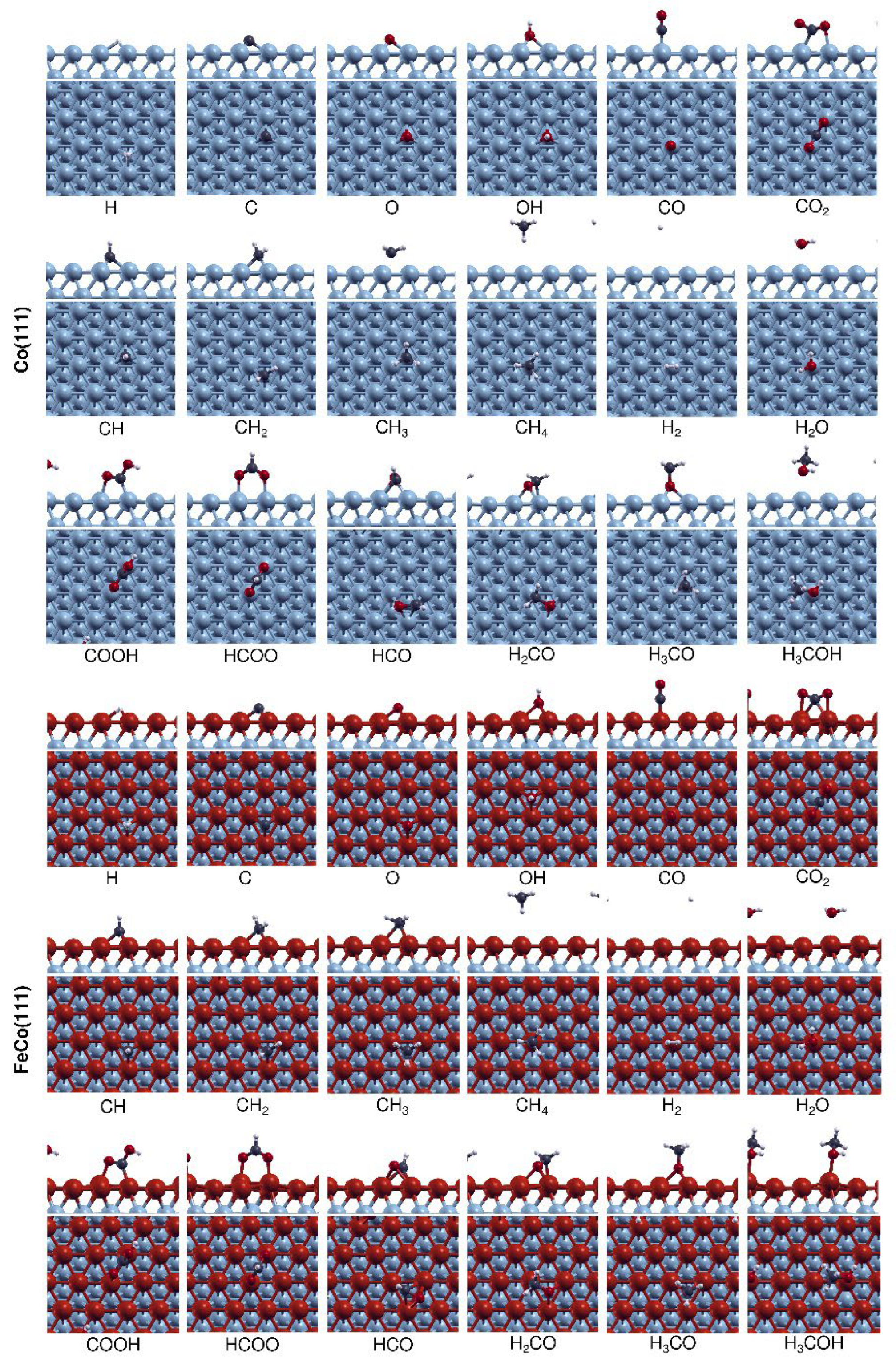 Catalysts 13 01390 g001