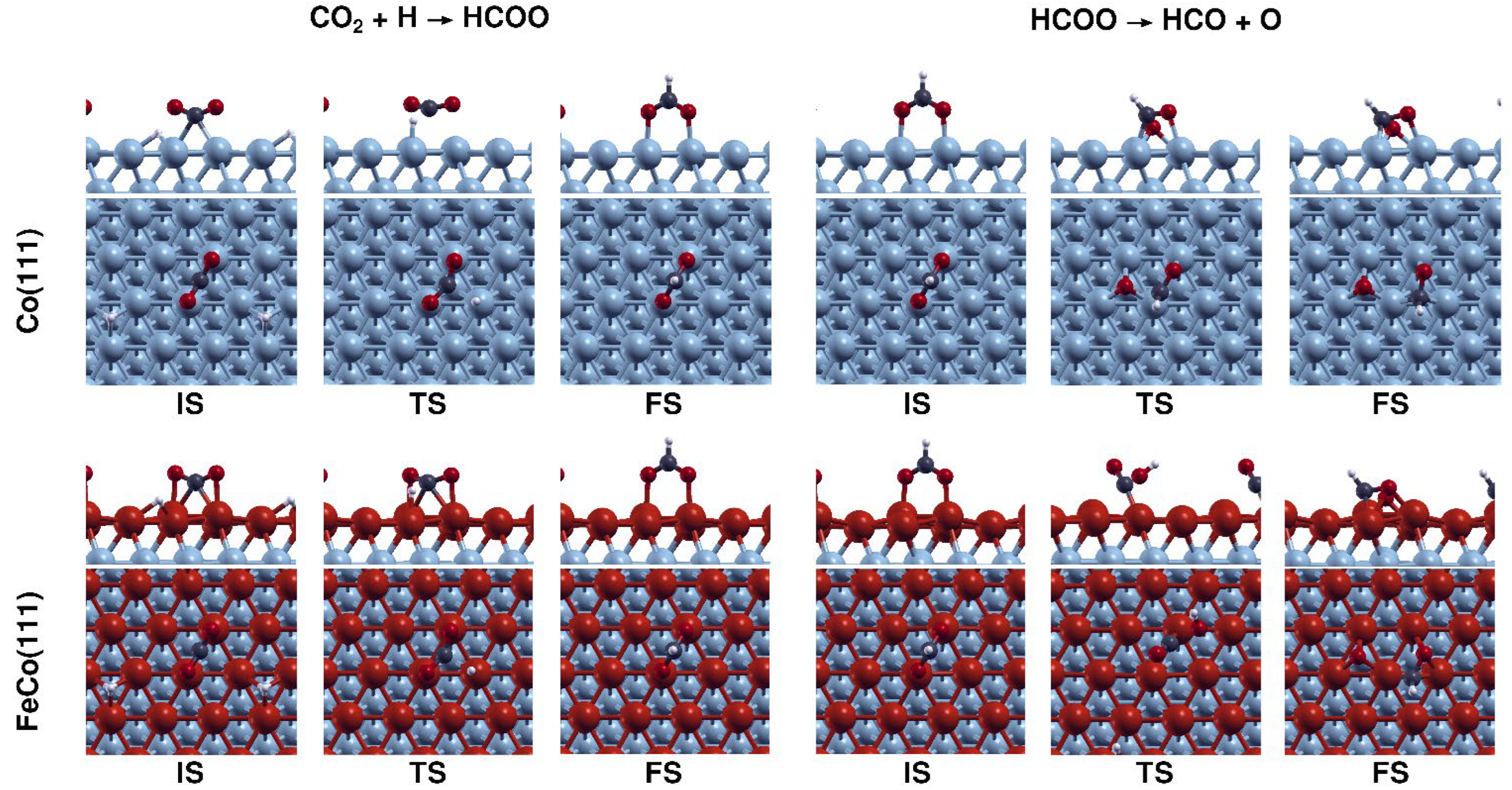 Catalysts 13 01390 g007