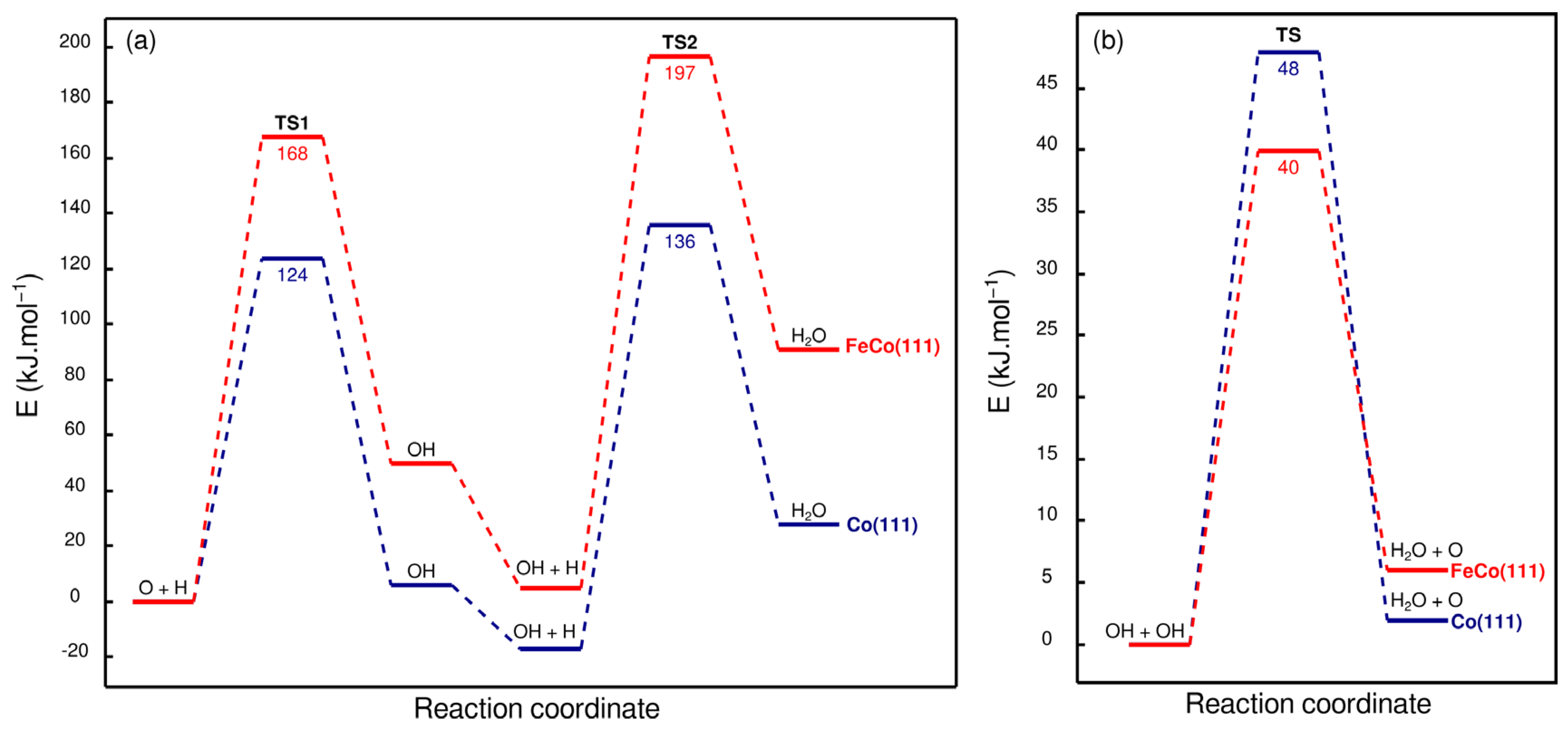 Catalysts 13 01390 g013