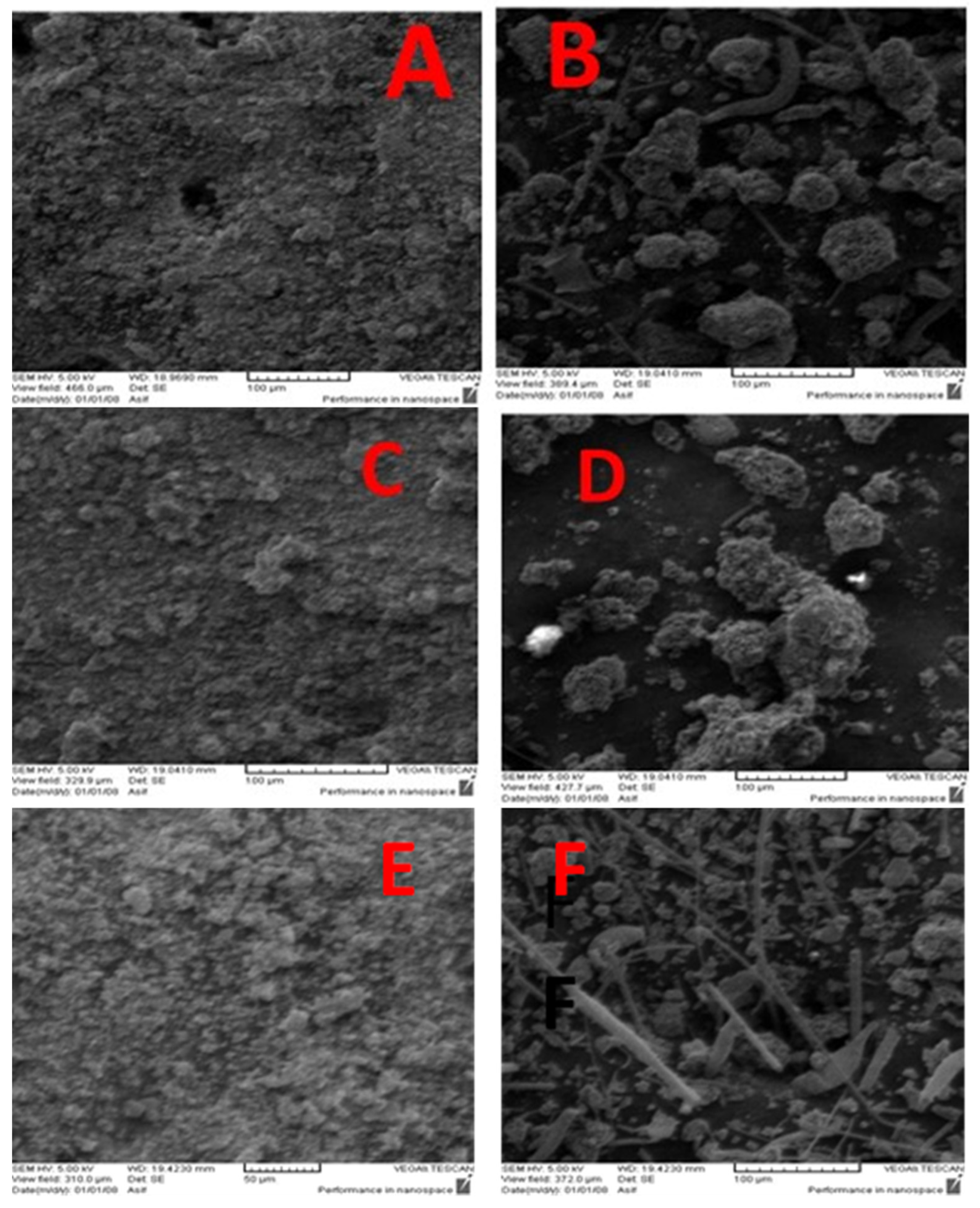 Catalysts 13 01420 g006