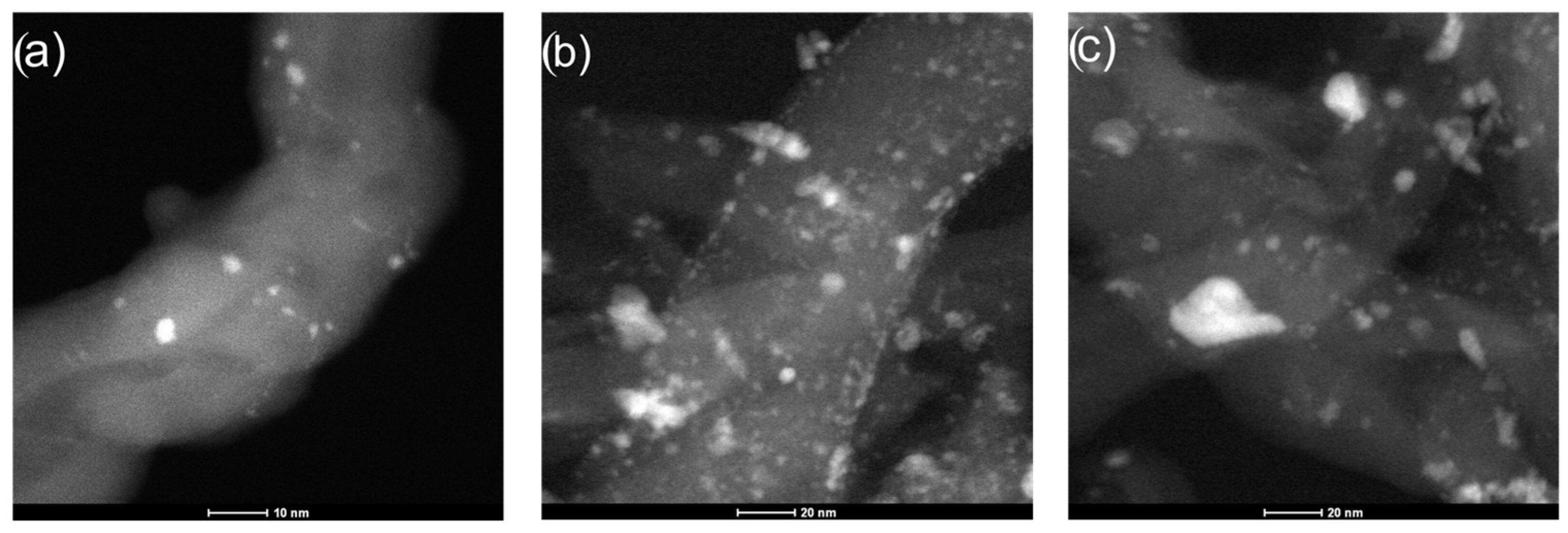 Catalysts 13 01500 g004