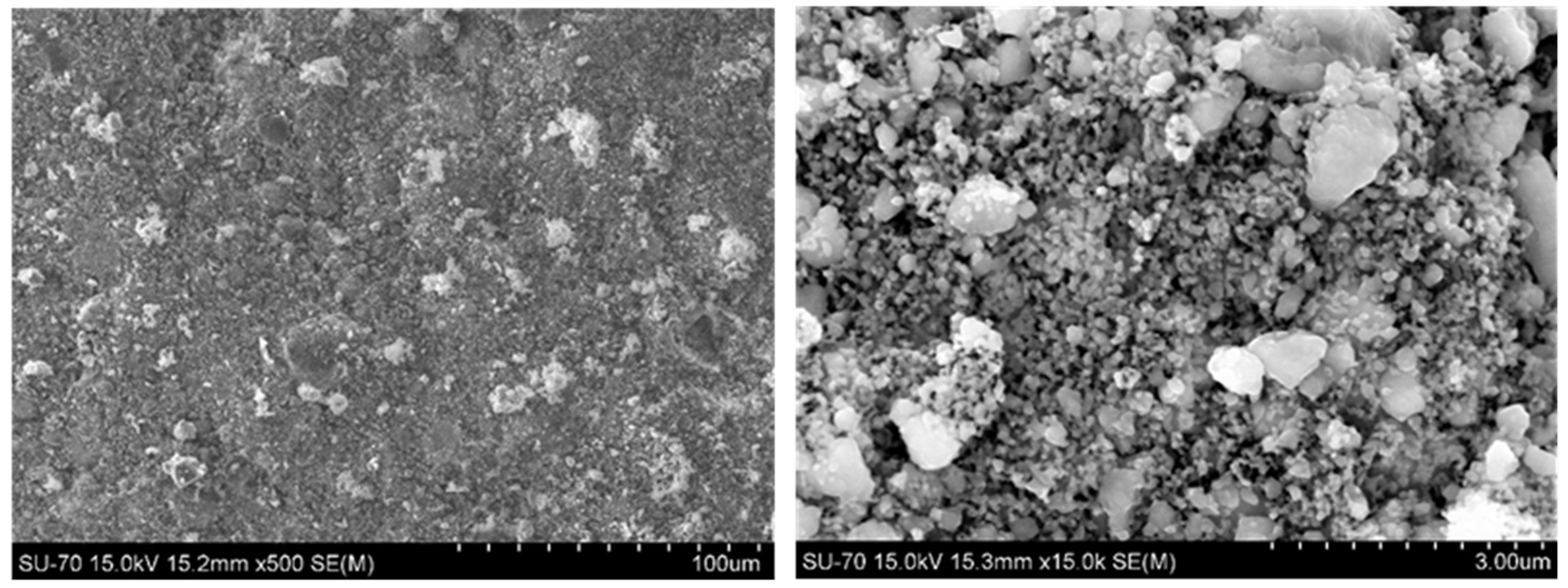 Catalysts 14 00012 g006
