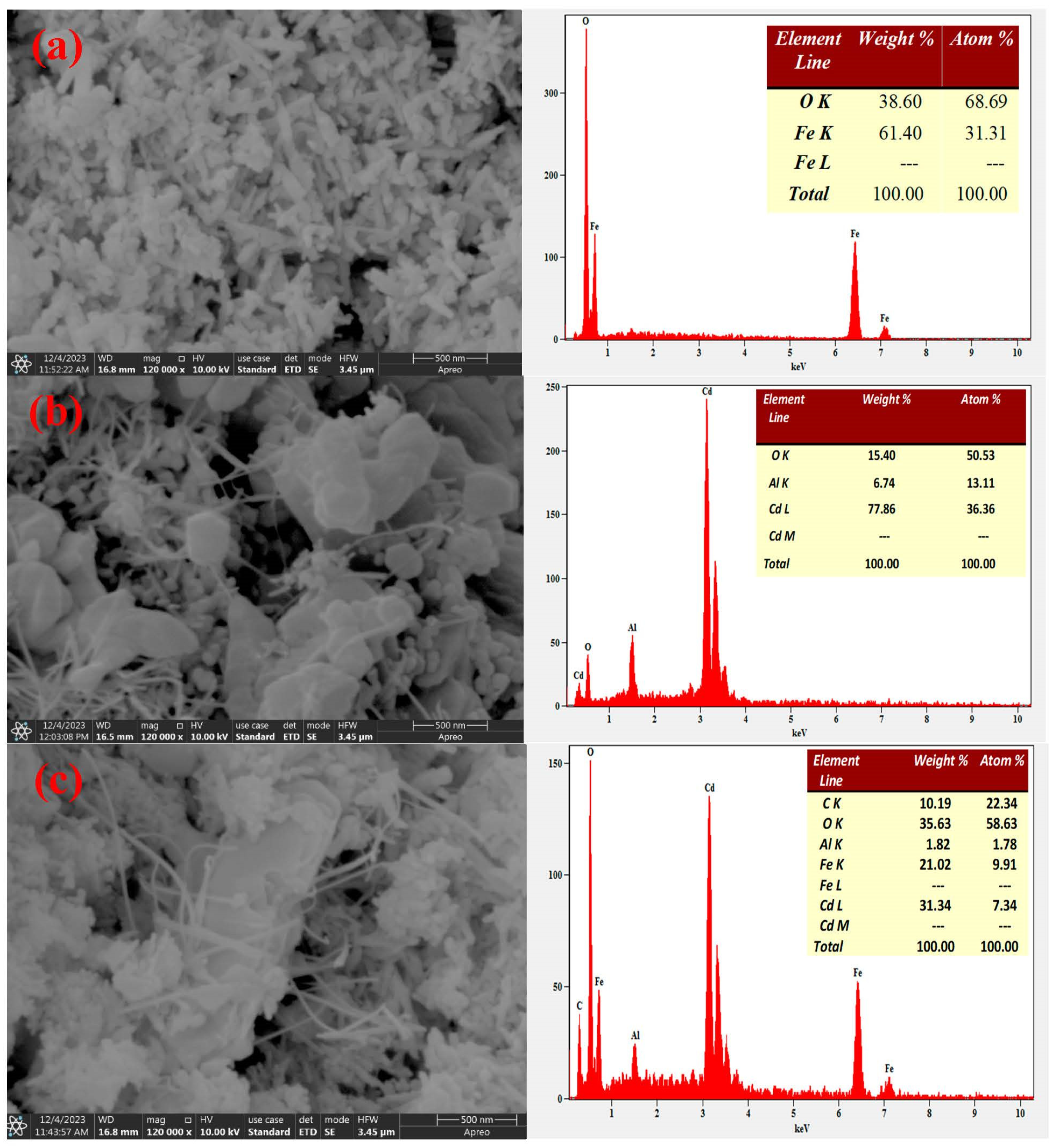 Catalysts 14 00071 g005