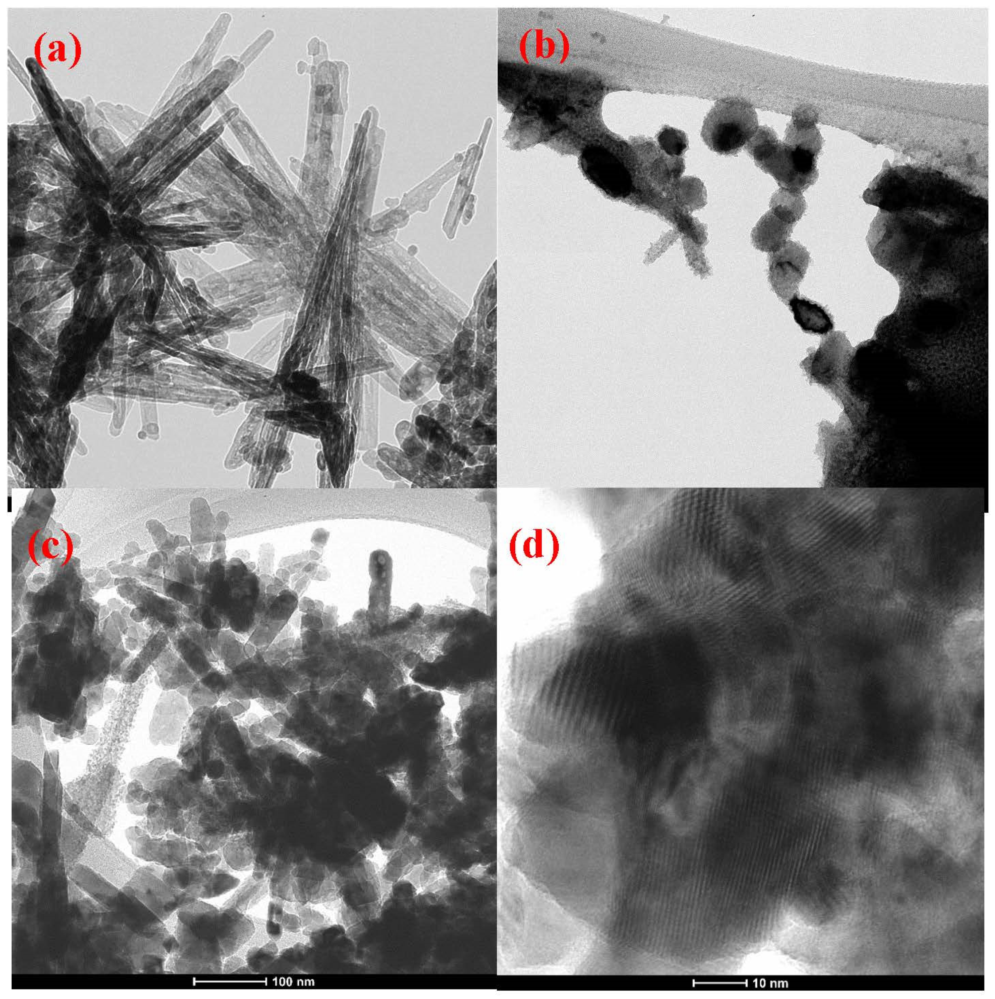 Catalysts 14 00071 g006