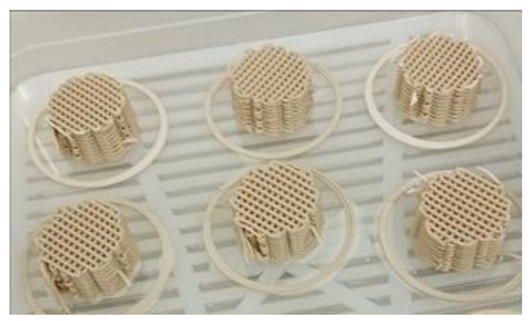 Catalysts 14 00085 g002