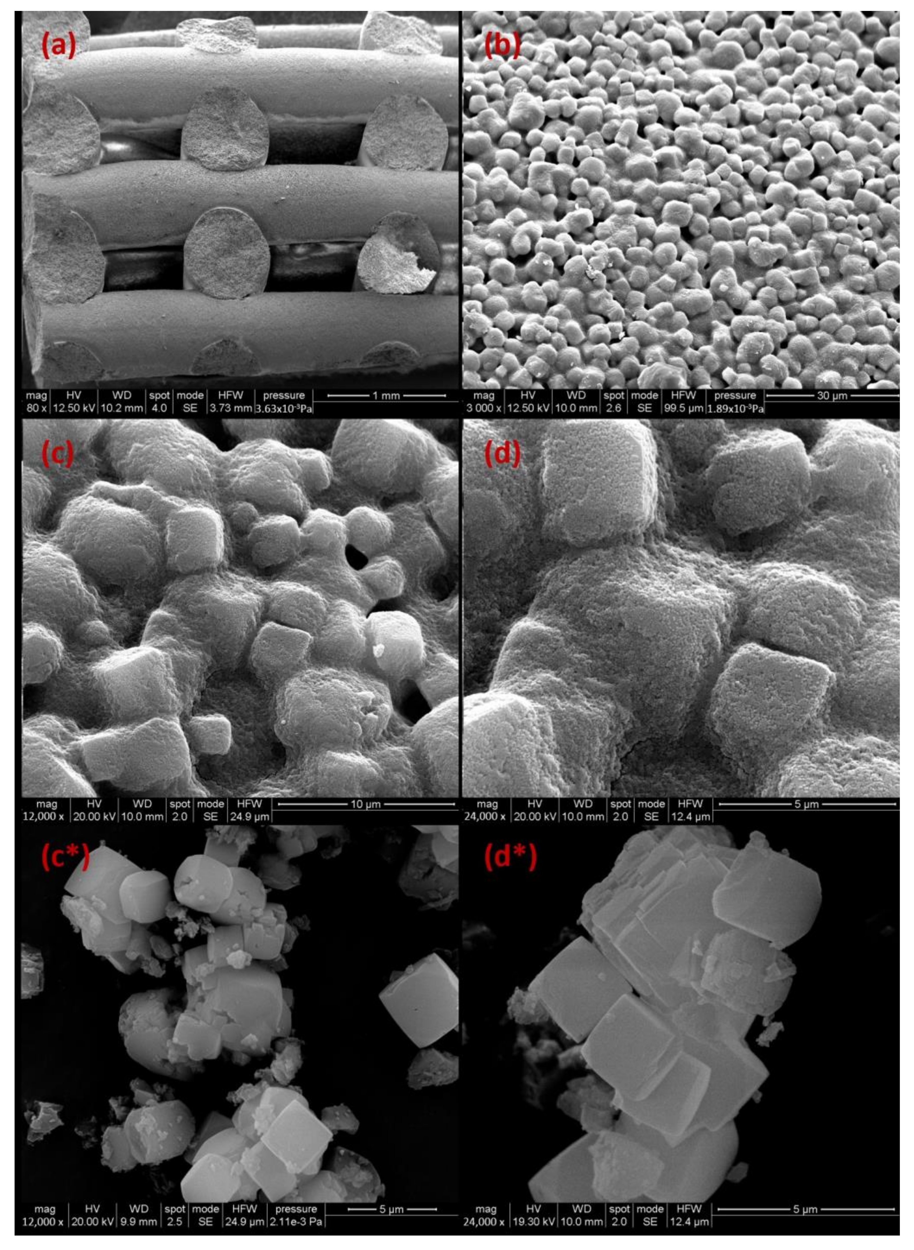 Catalysts 14 00085 g004