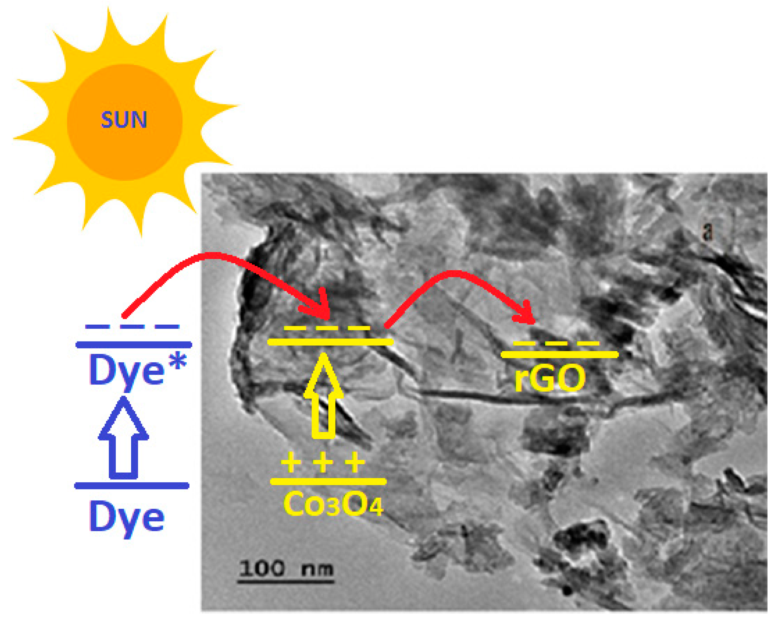 Catalysts 14 00096 g008
