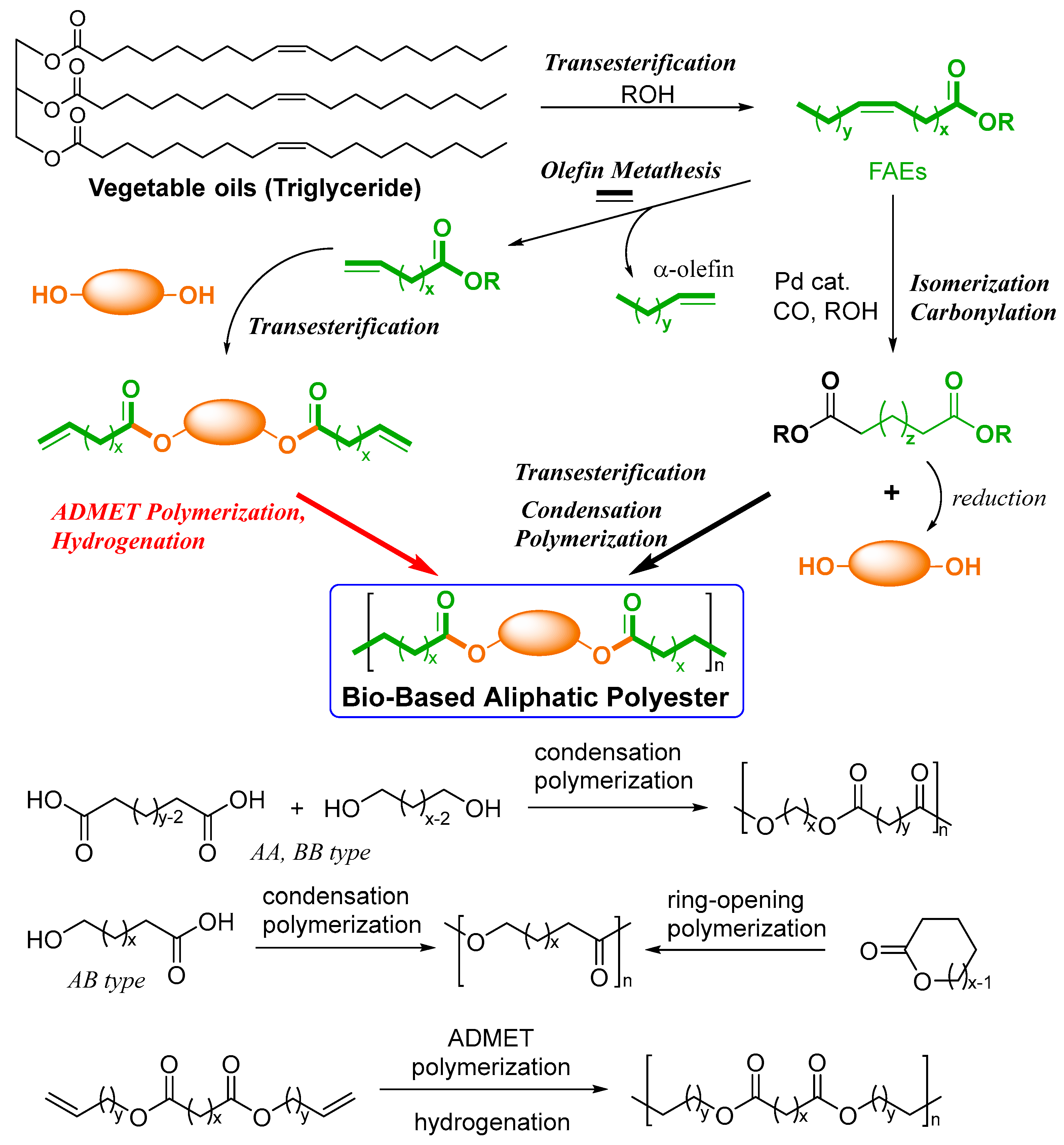 Catalysts 14 00097 sch001
