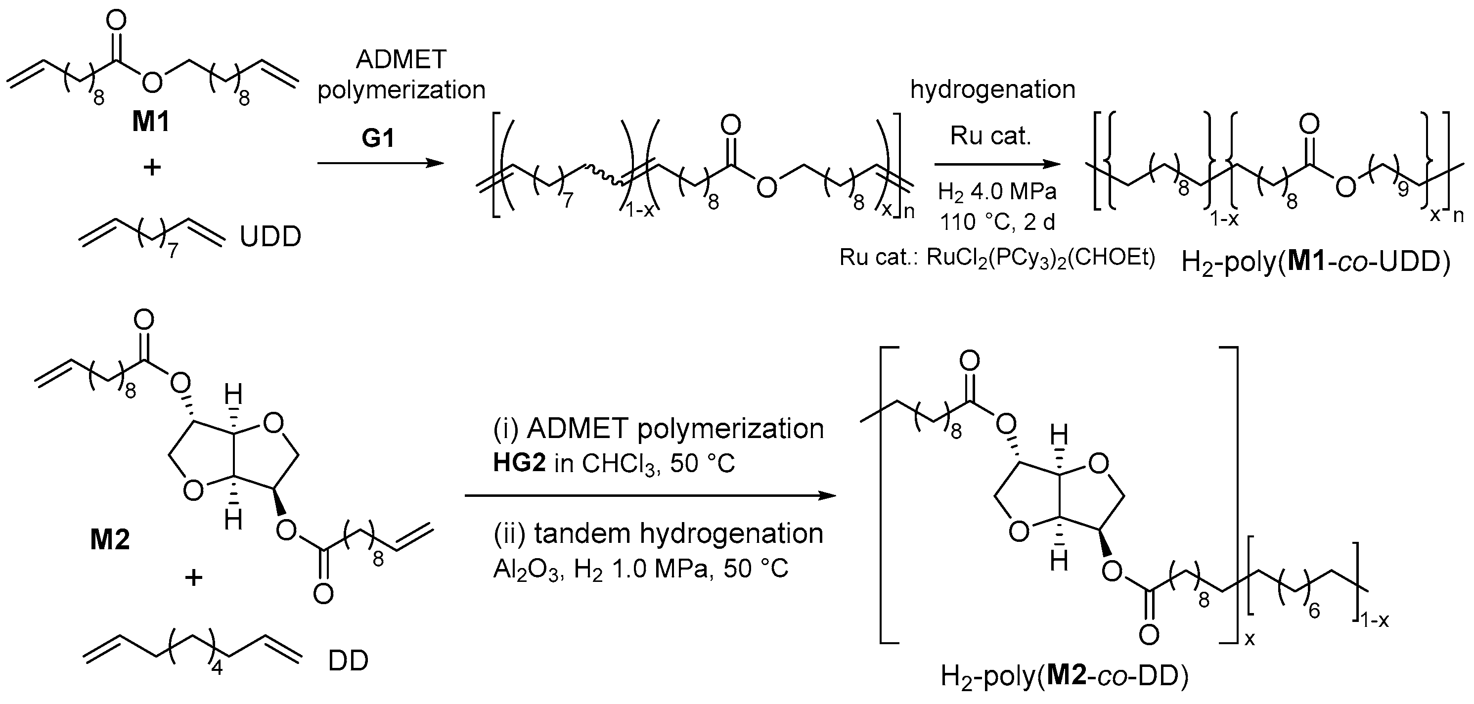 Catalysts 14 00097 sch006