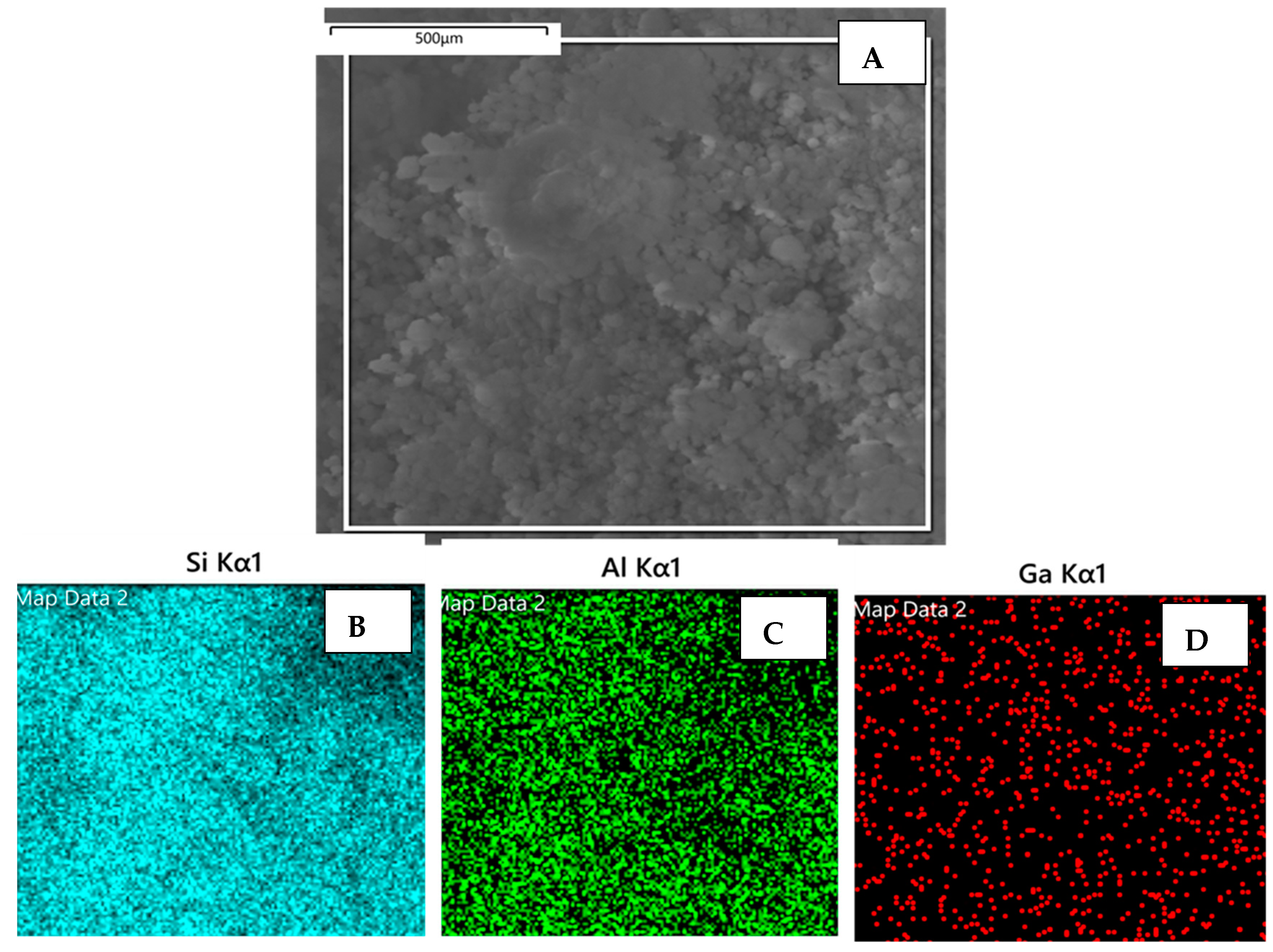 Catalysts 14 00196 g008