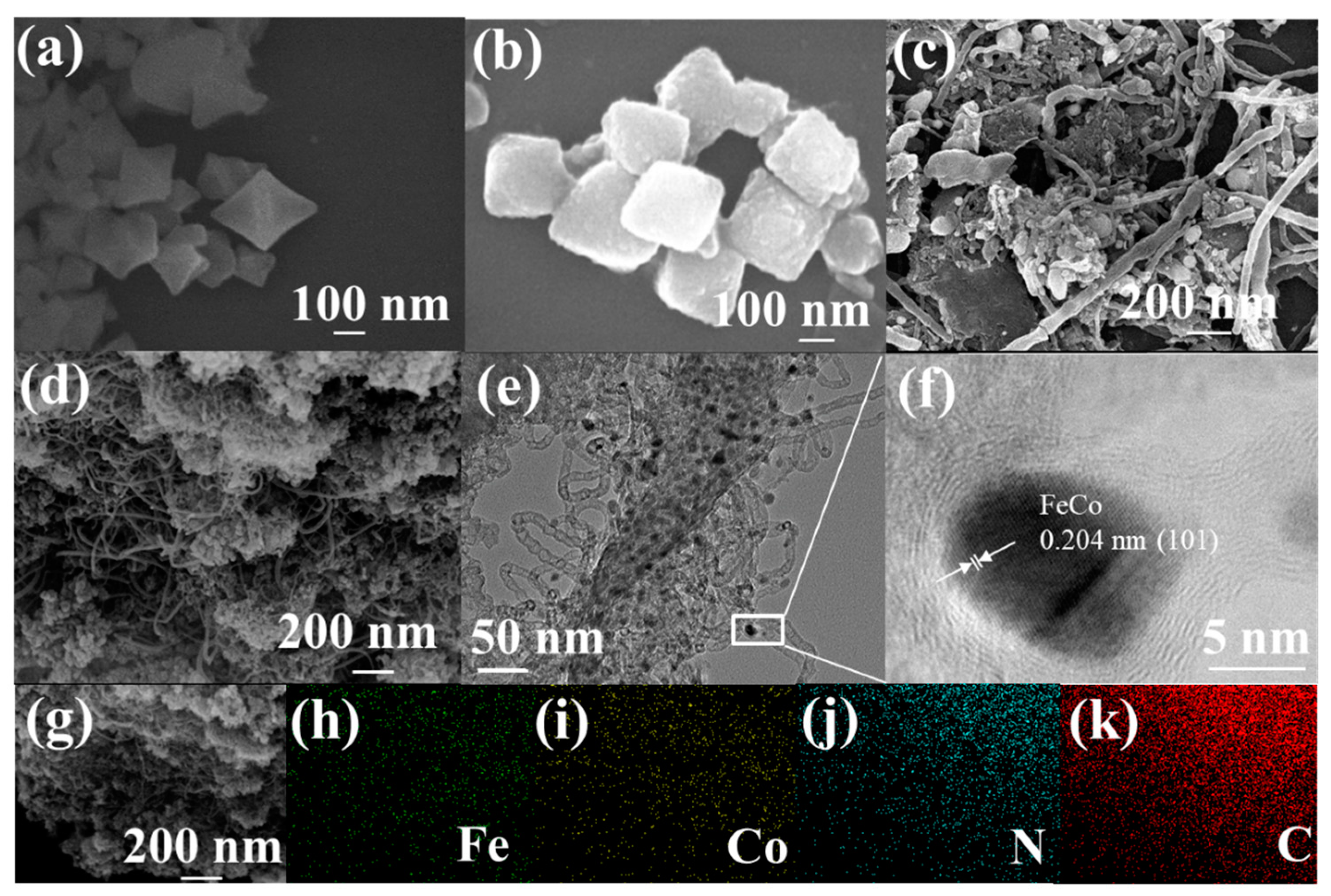 Catalysts 14 00205 g001