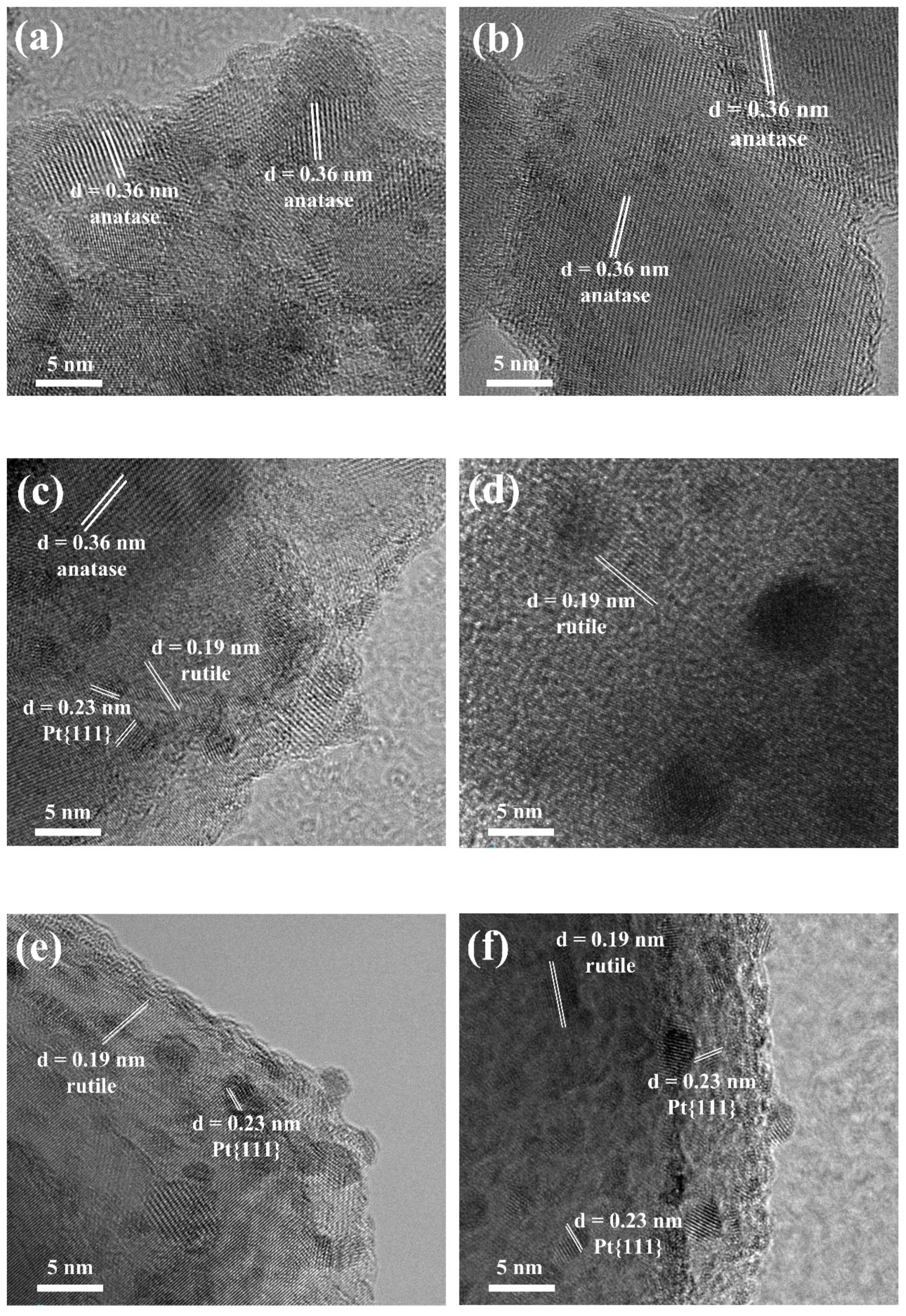 Catalysts 14 00234 g004