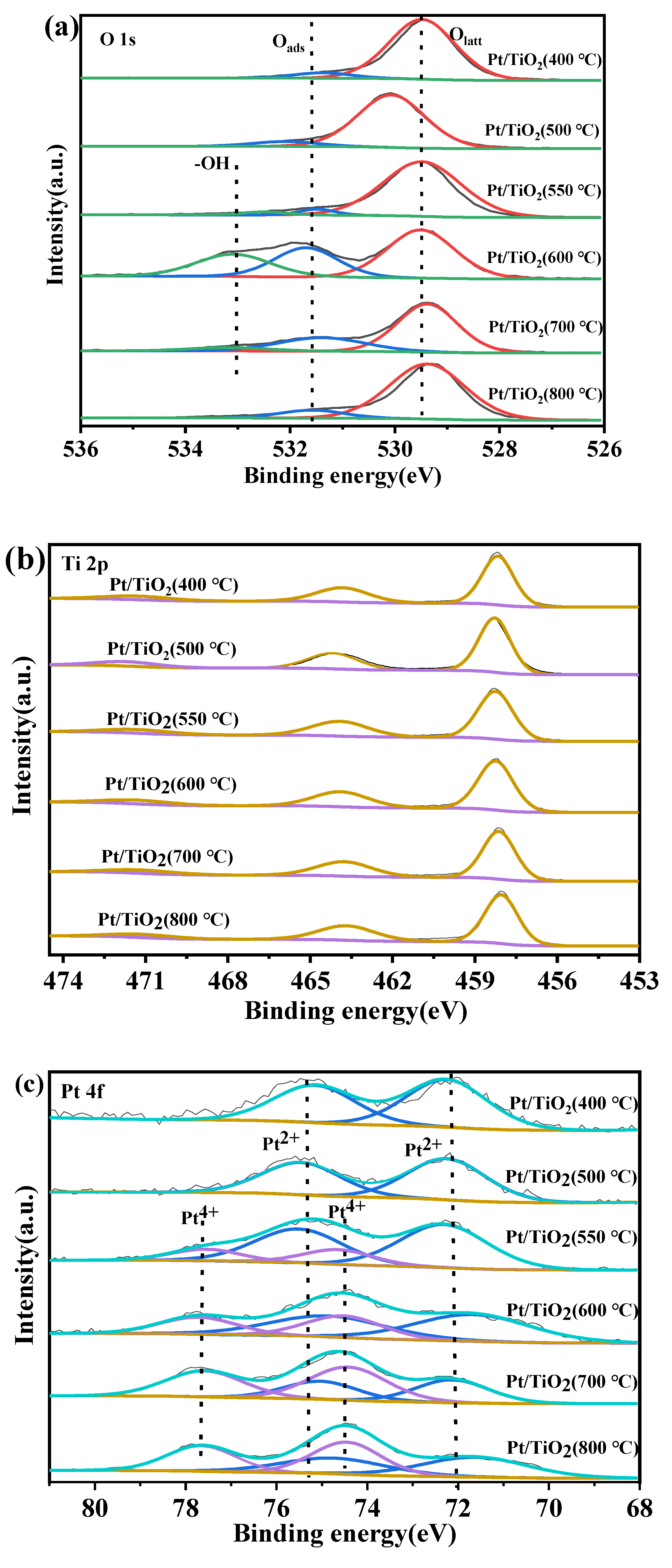 Catalysts 14 00234 g005