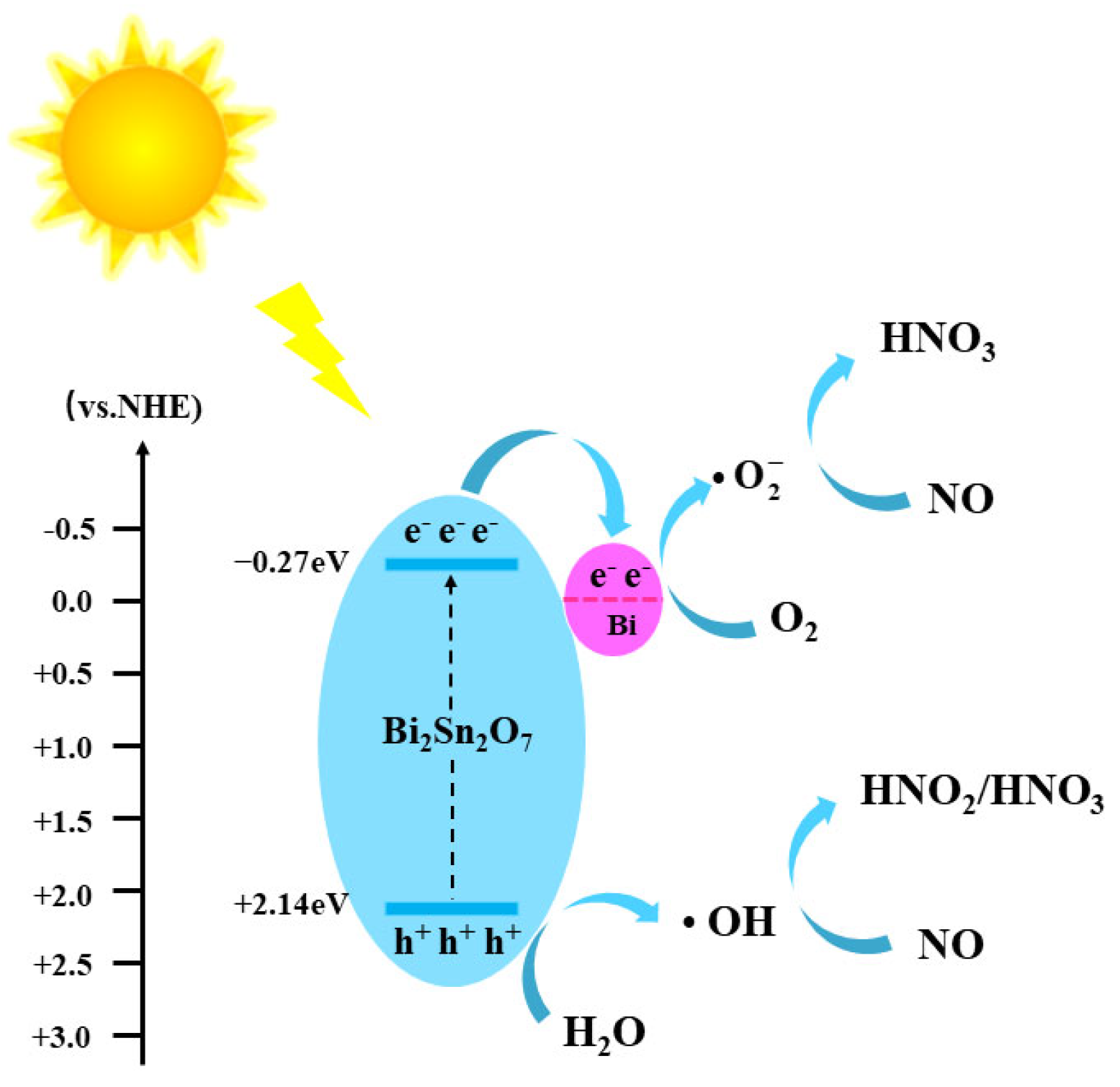 Catalysts 14 00275 g010