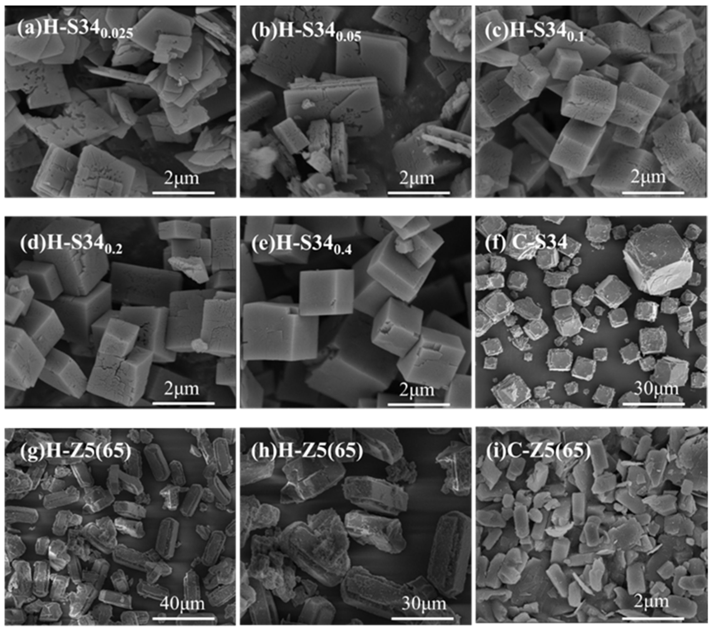 Catalysts 14 00288 g003