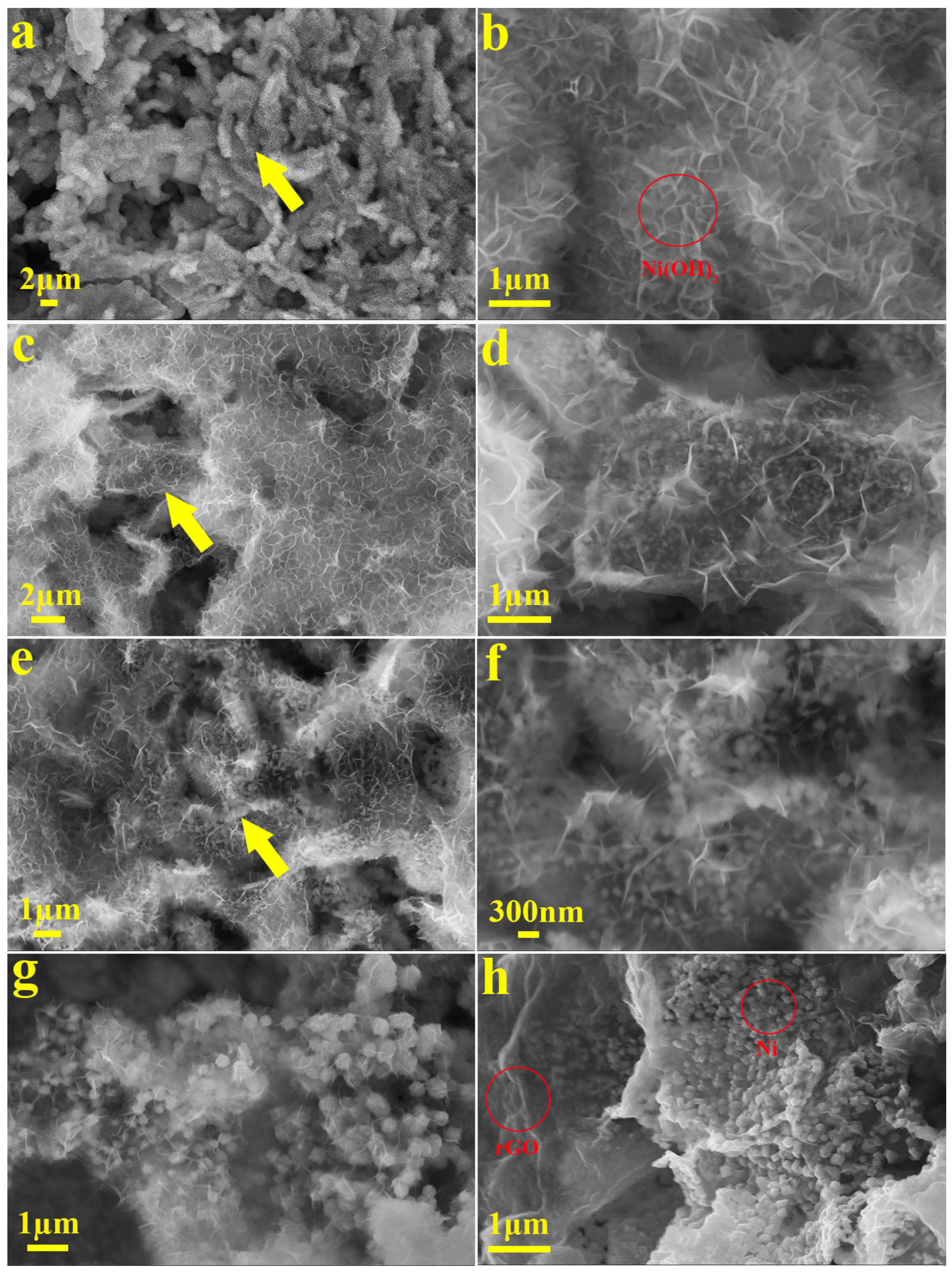 Catalysts 14 00309 g001