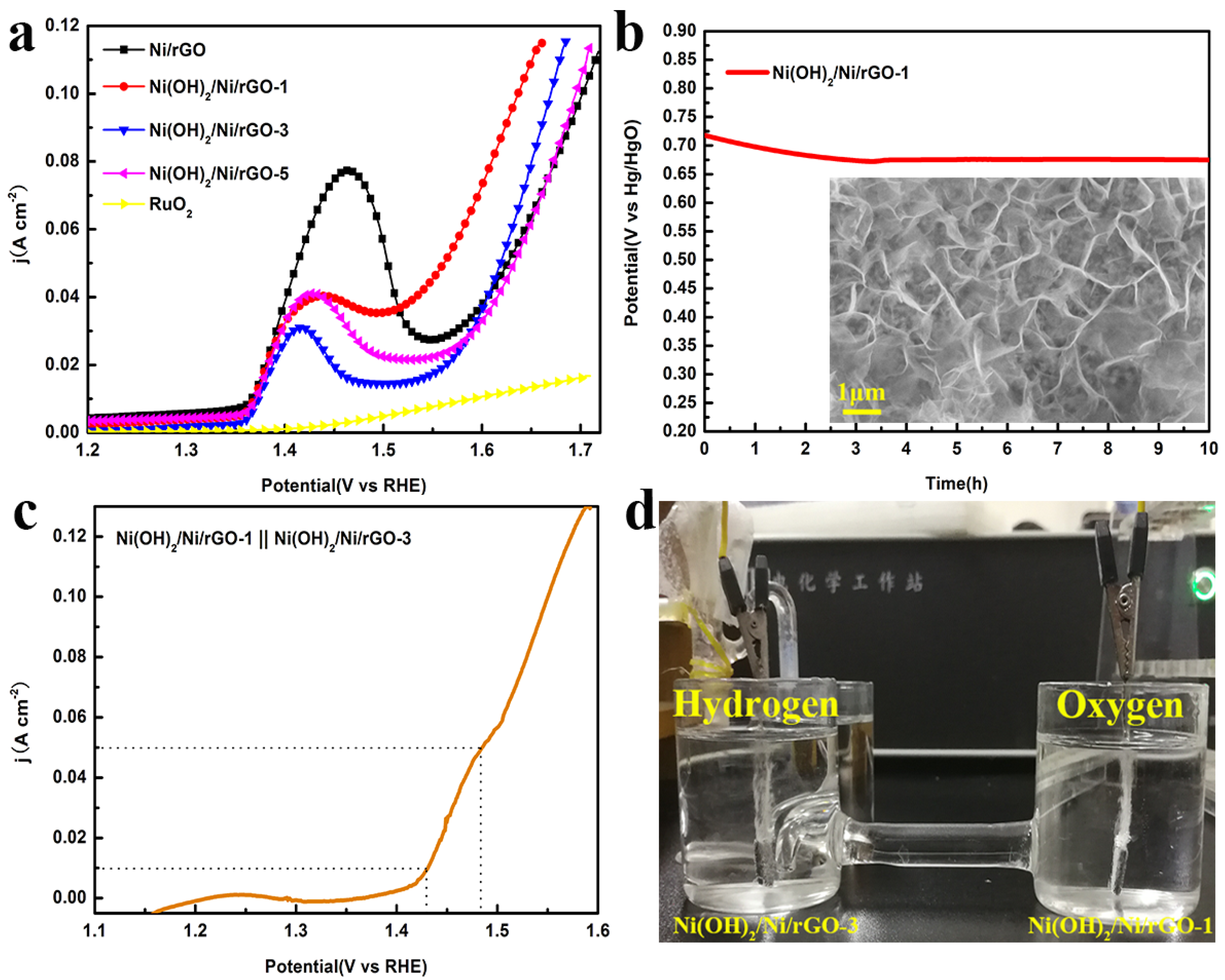 Catalysts 14 00309 g005