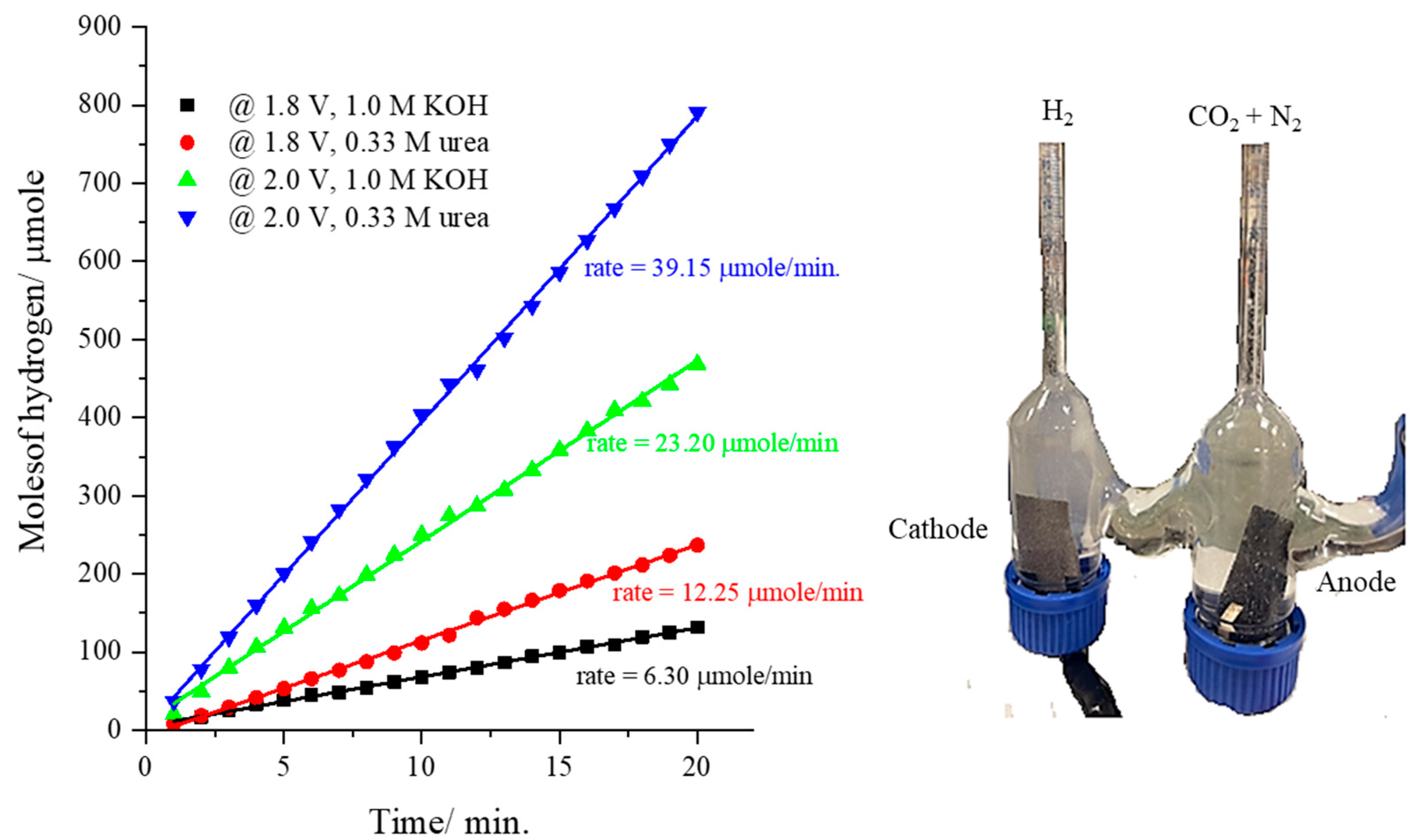 Catalysts 14 00325 g008