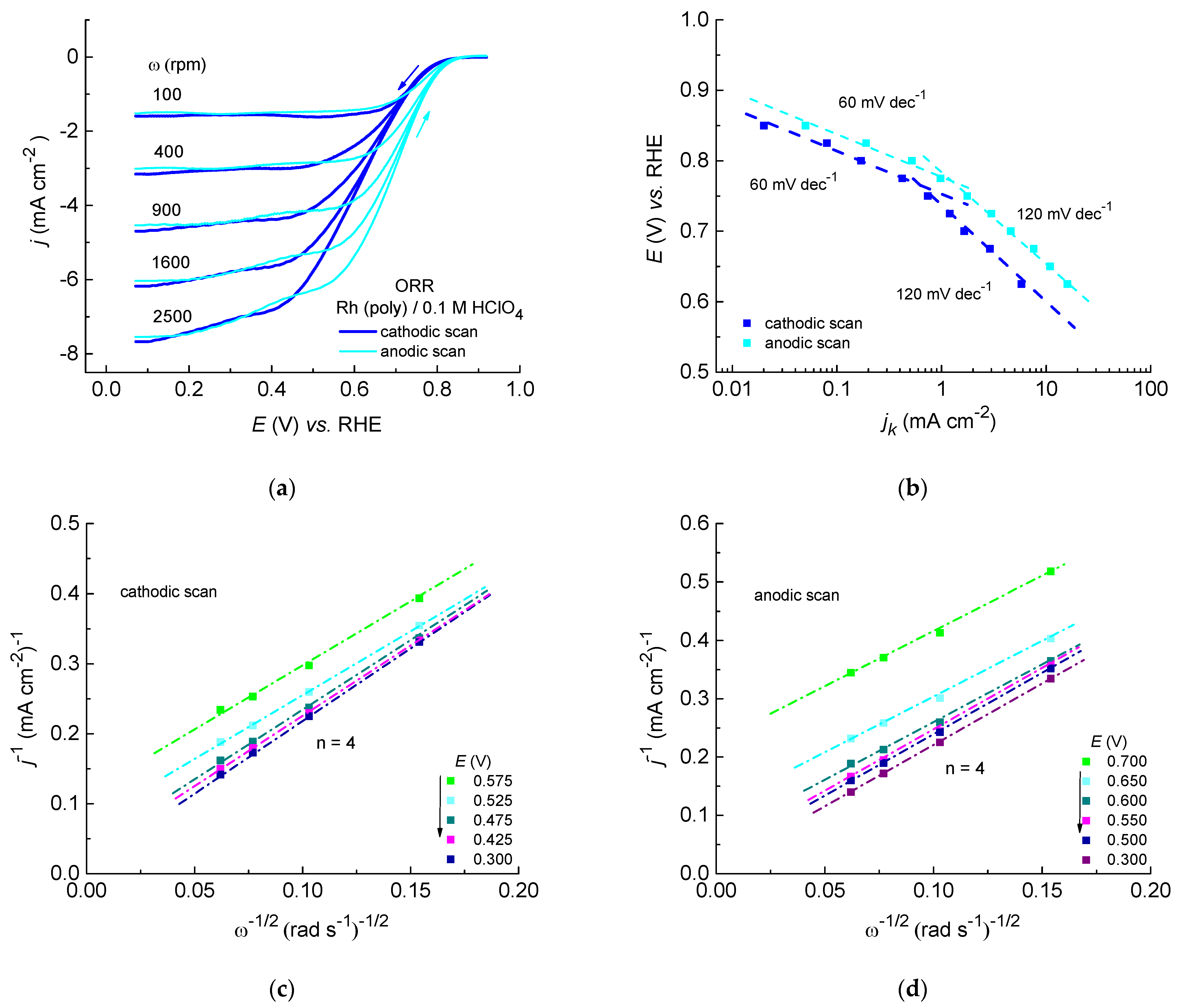 Catalysts 14 00327 g002