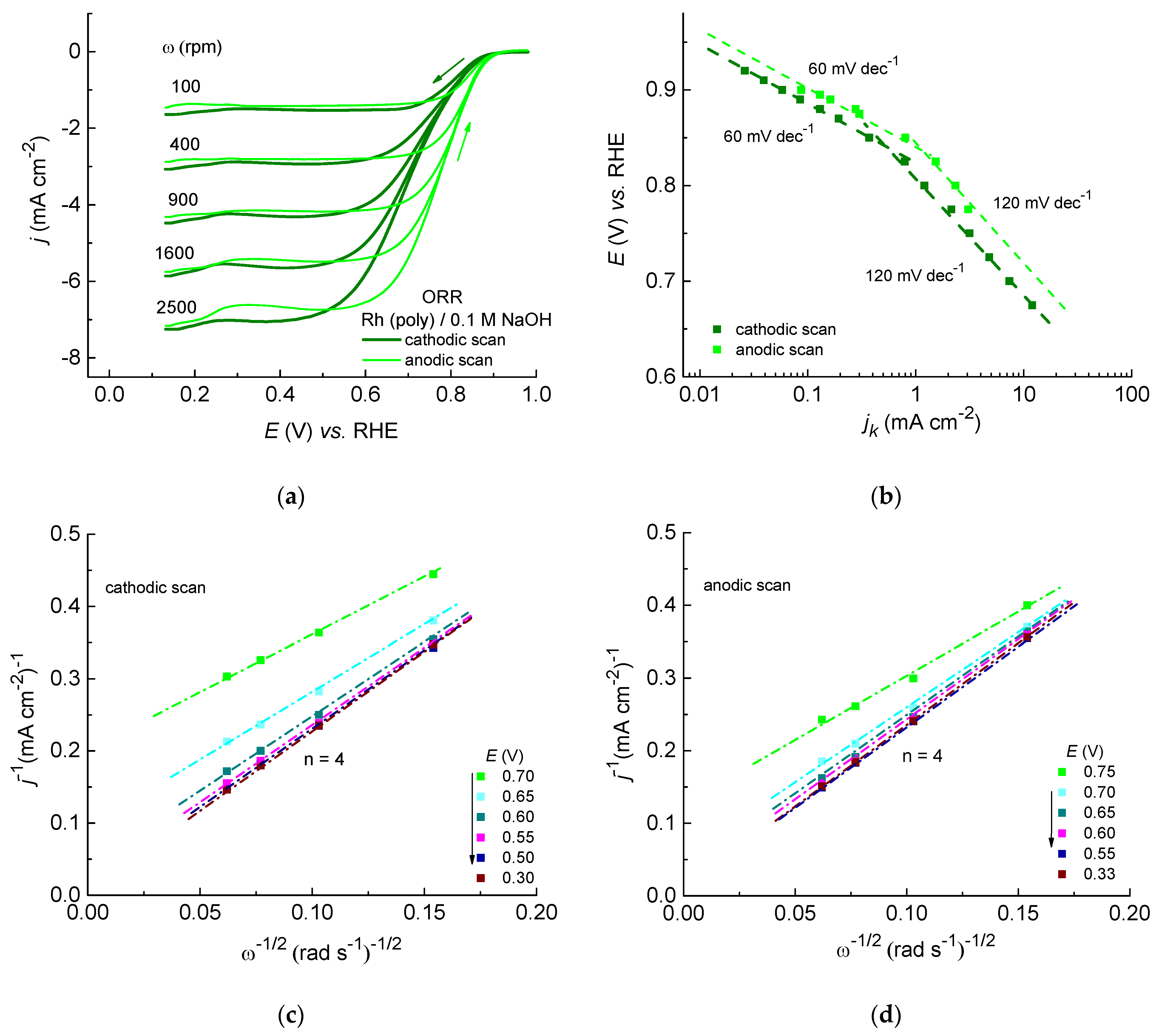Catalysts 14 00327 g004