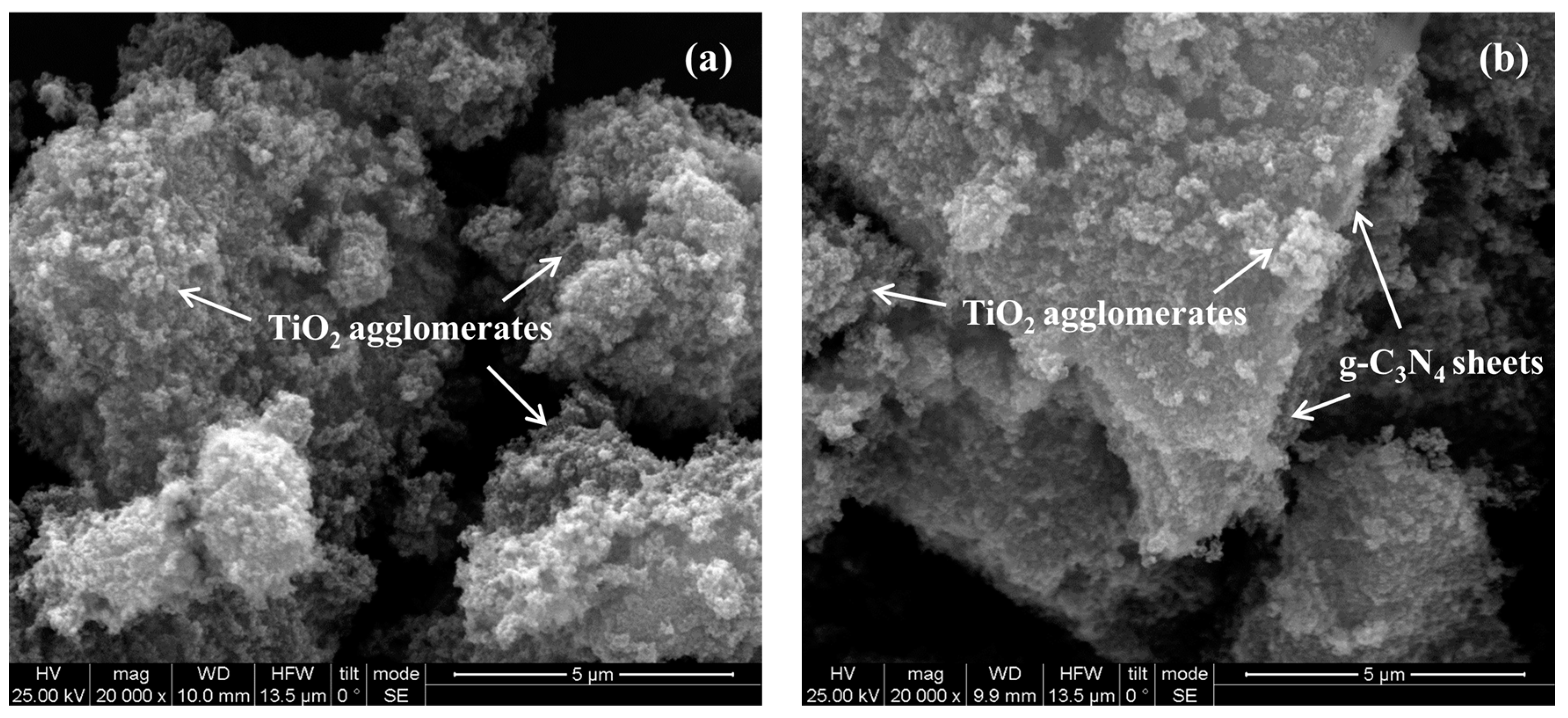 Catalysts 14 00333 g004