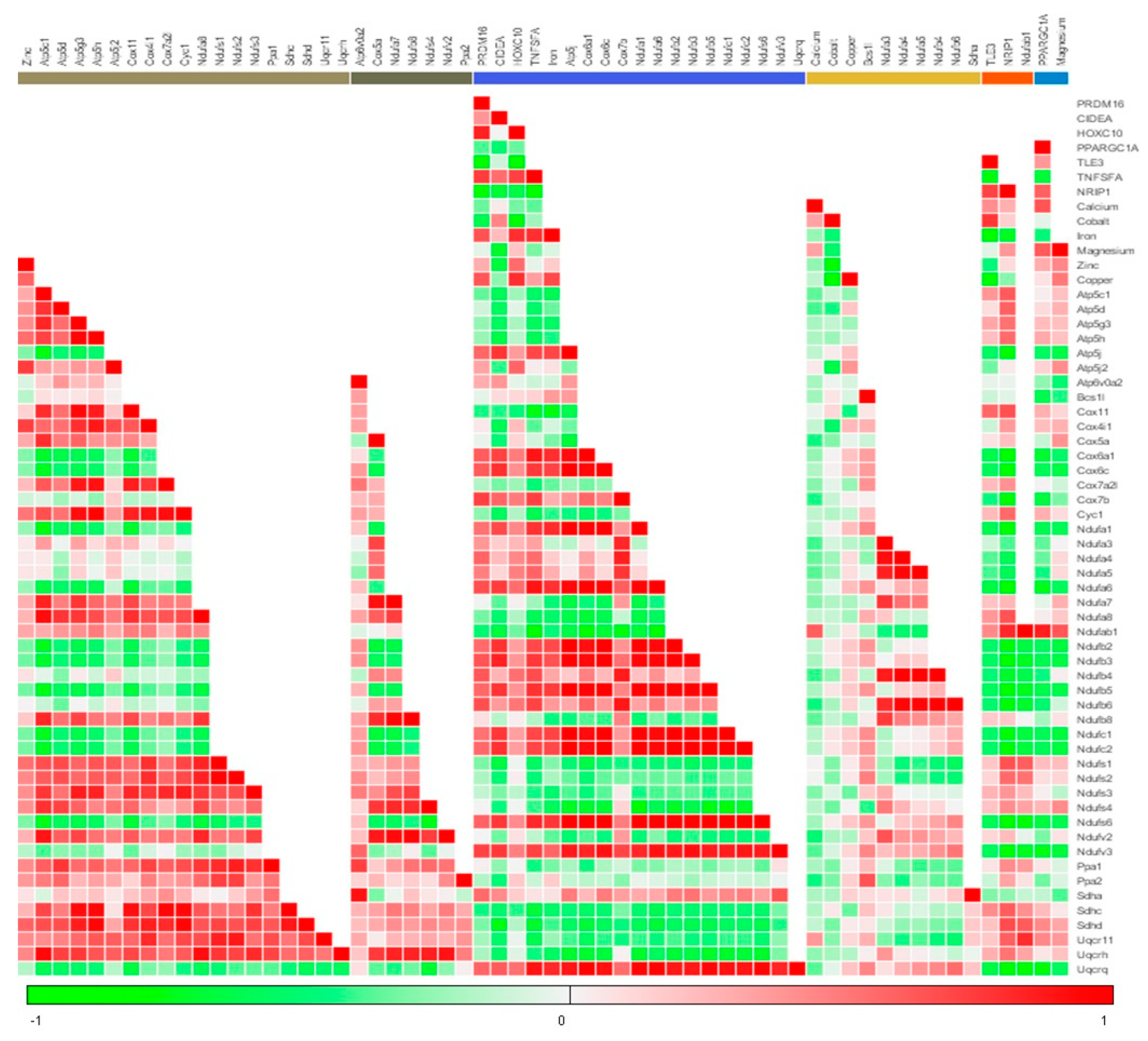 Cells 08 00383 g006 Cells 08 00383 g006