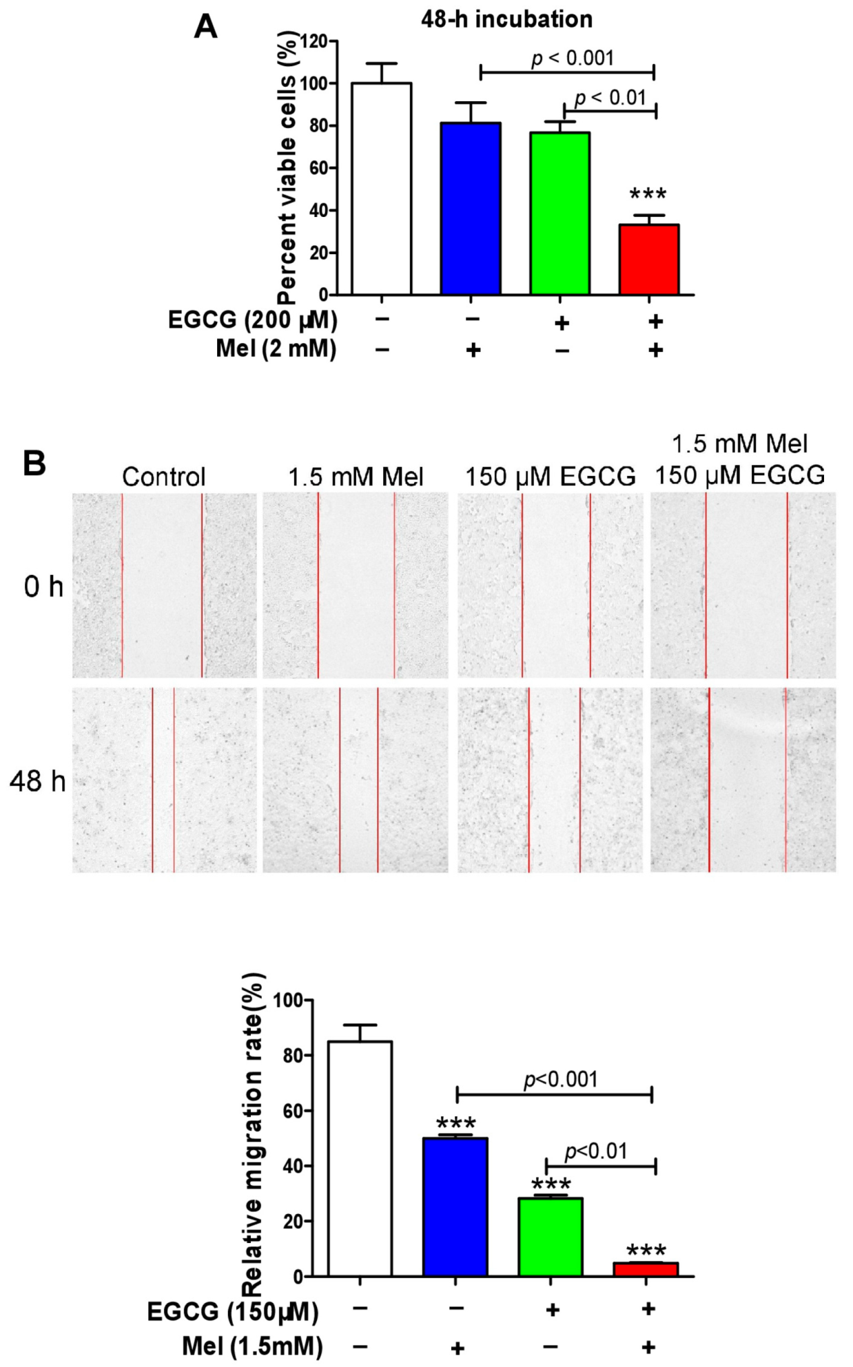 Cells 08 00745 g004 Cells 08 00745 g004