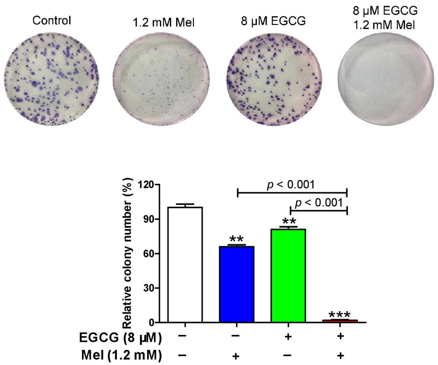 Cells 08 00745 g005 Cells 08 00745 g005