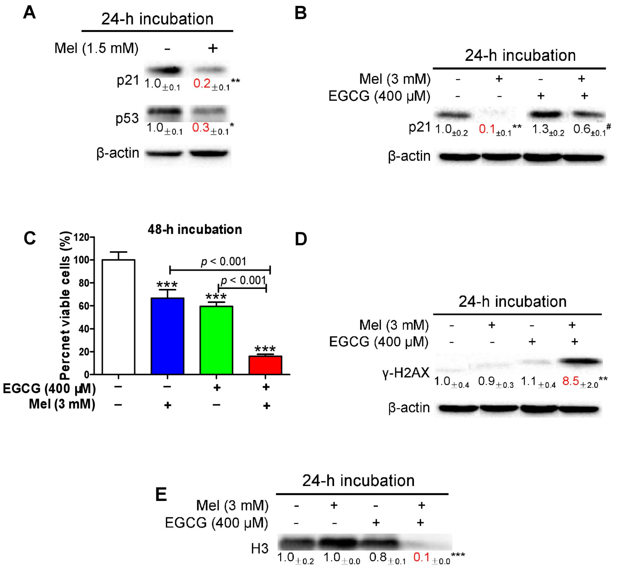 Cells 08 00745 g006 Cells 08 00745 g006