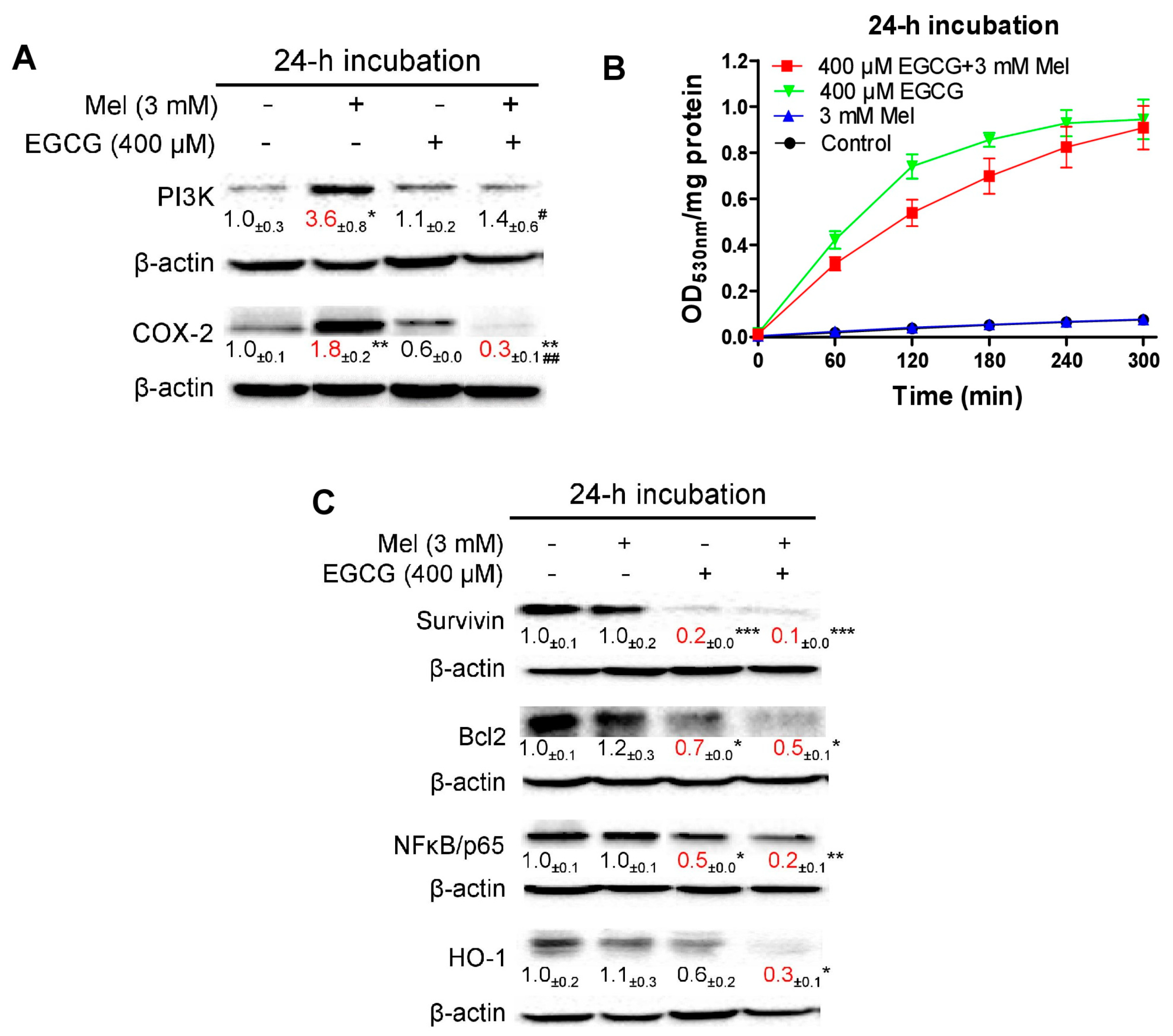 Cells 08 00745 g008 Cells 08 00745 g008