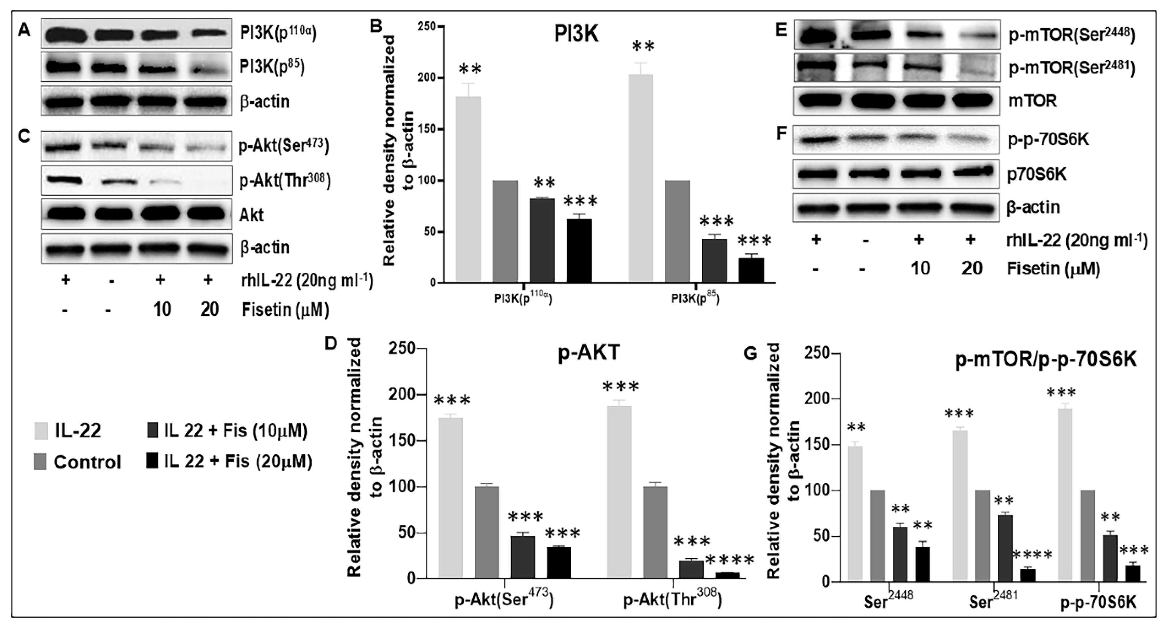 Cells 08 01089 g003 Cells 08 01089 g003