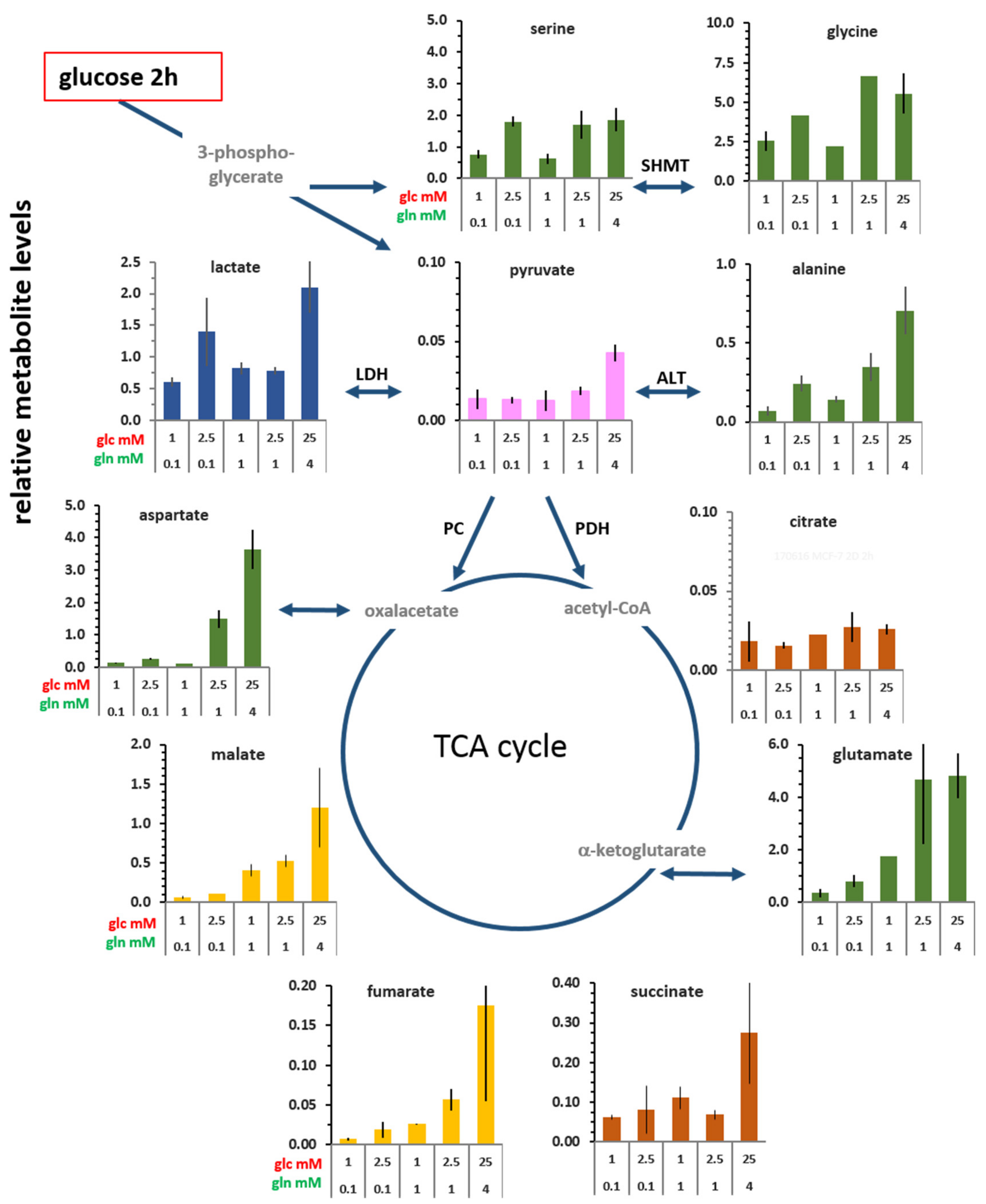 Cells 08 01113 g002 Cells 08 01113 g002