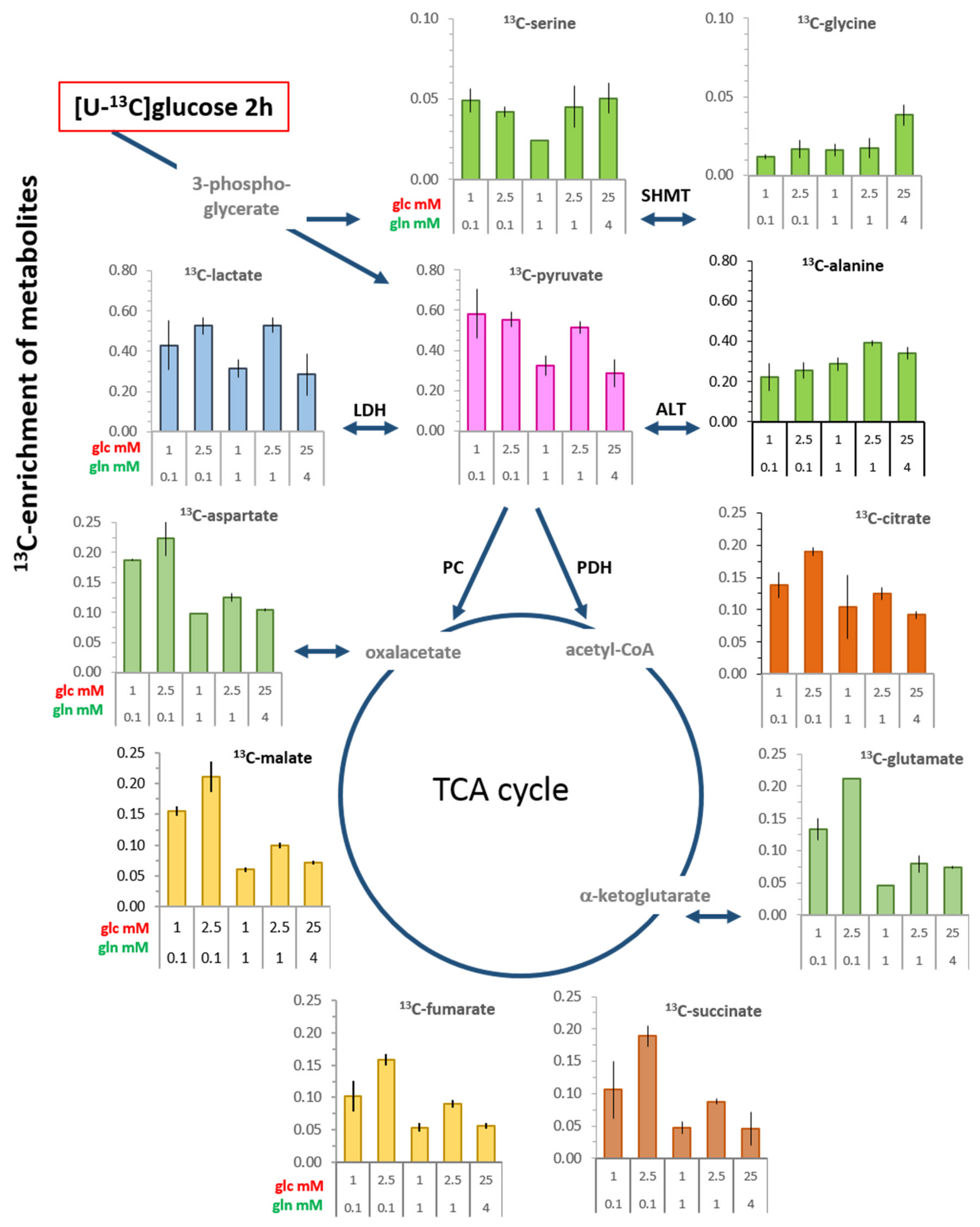 Cells 08 01113 g003 Cells 08 01113 g003