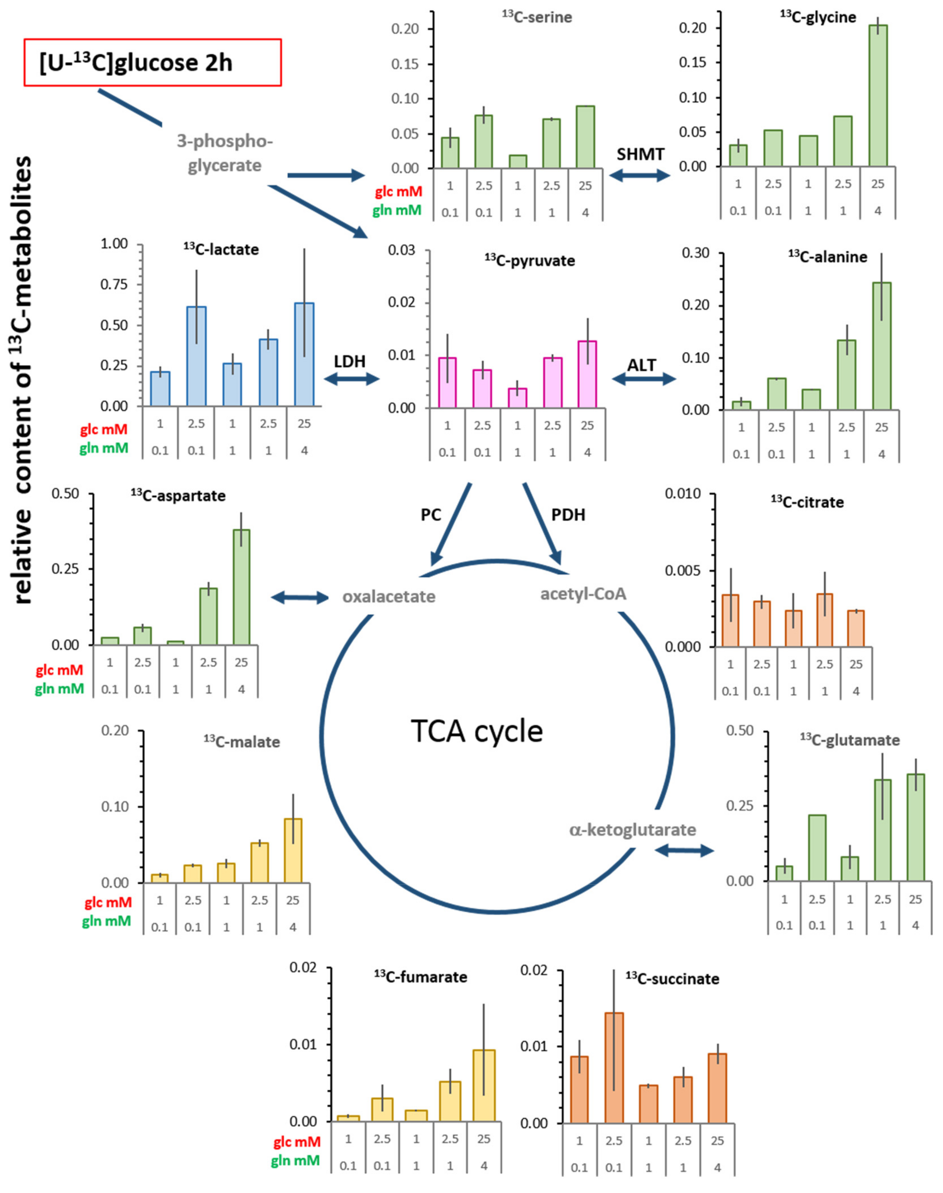 Cells 08 01113 g004 Cells 08 01113 g004