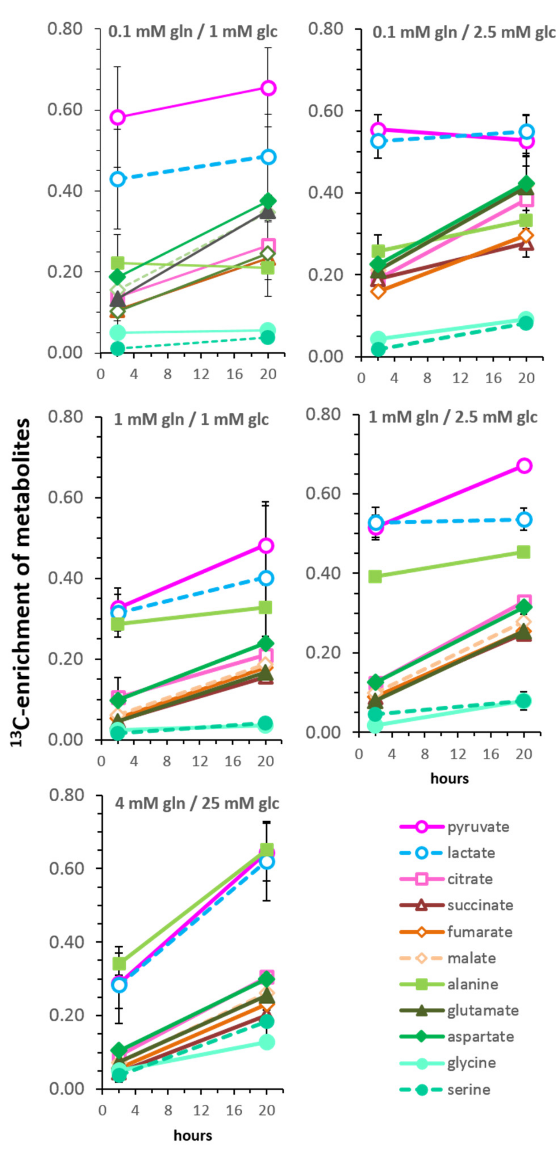 Cells 08 01113 g005 Cells 08 01113 g005