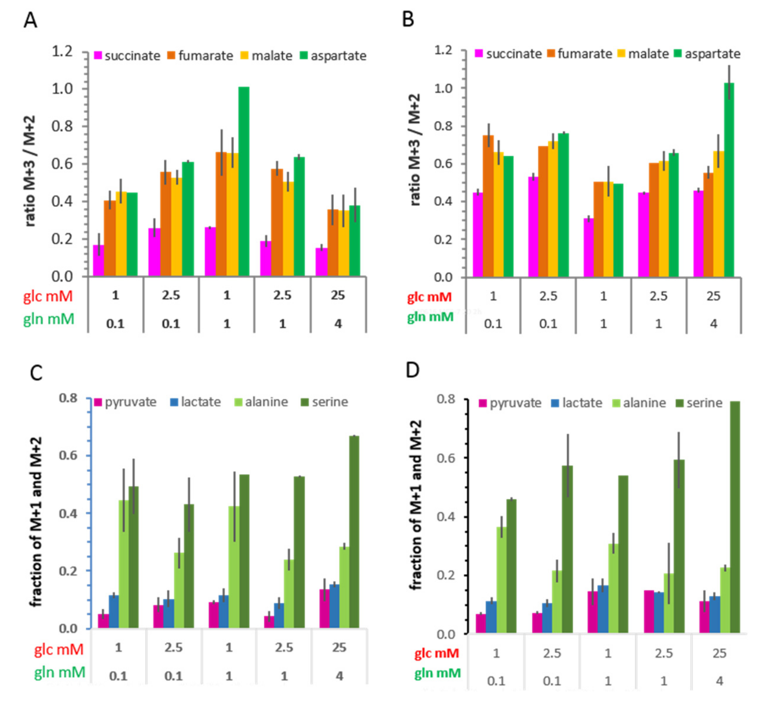 Cells 08 01113 g008 Cells 08 01113 g008