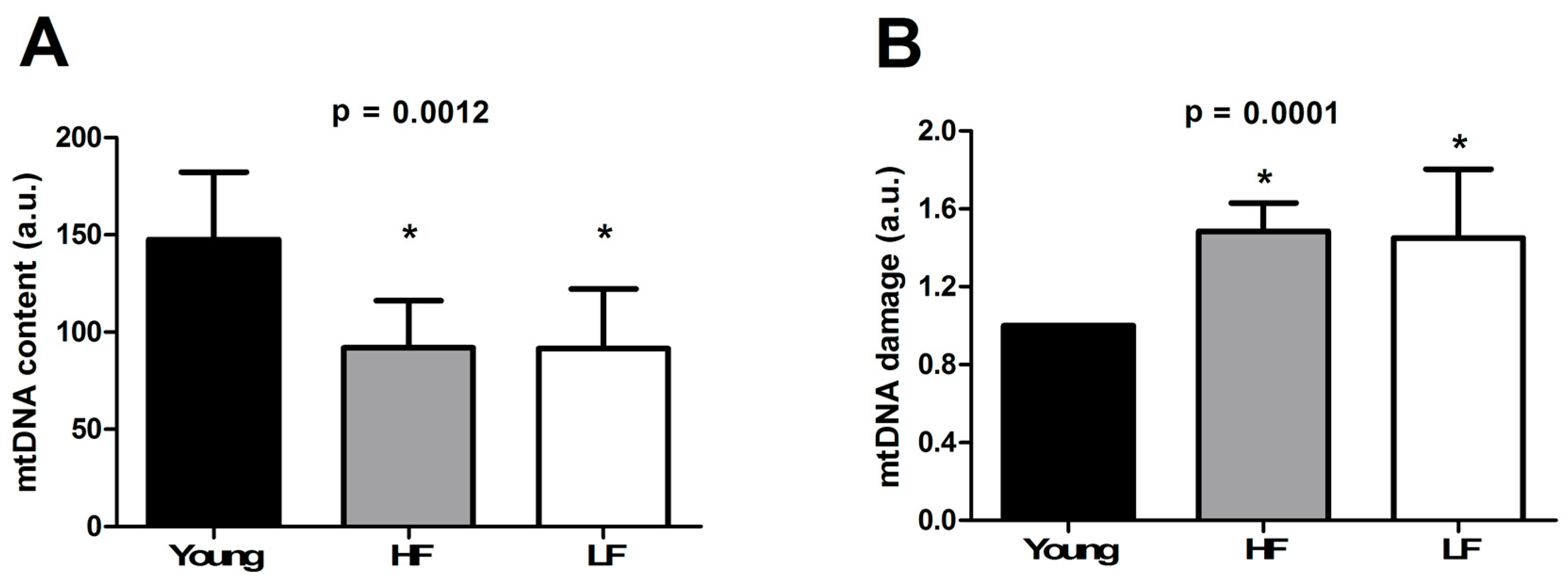 Cells 08 01525 g005 Cells 08 01525 g005