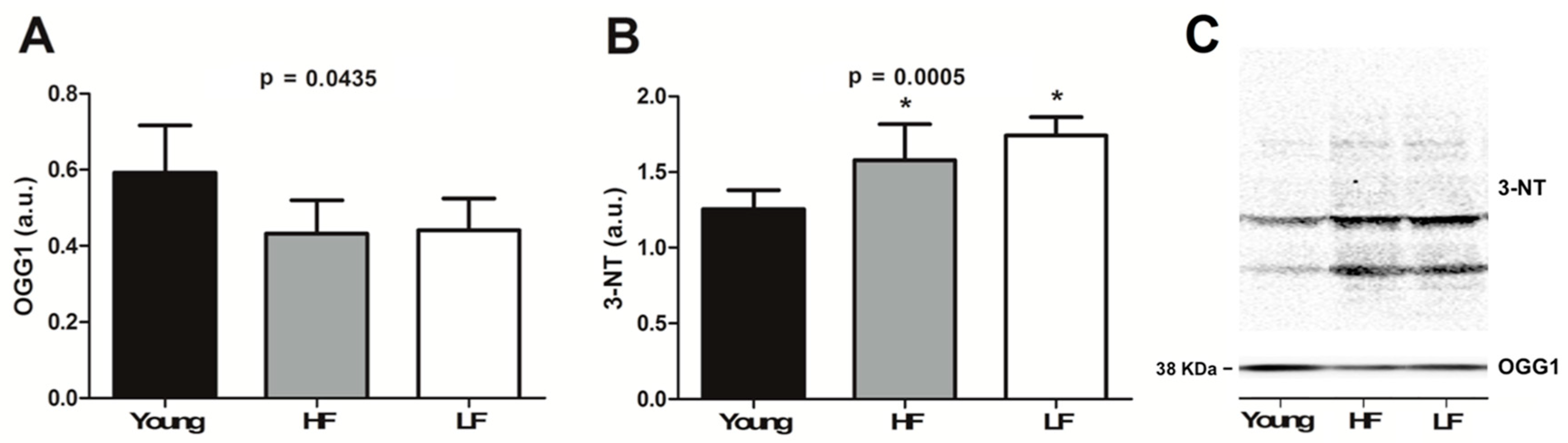 Cells 08 01525 g006 Cells 08 01525 g006