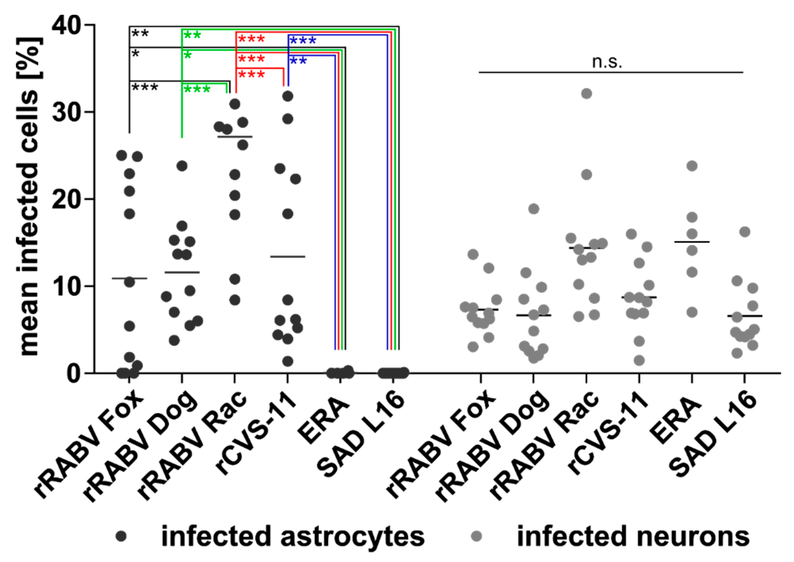 Cells 09 00412 g006 Cells 09 00412 g006