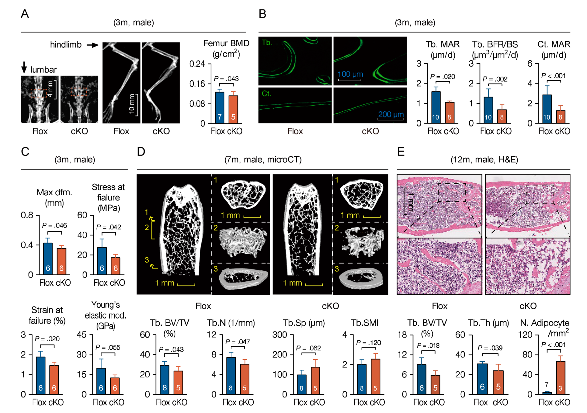 Cells 09 00616 g005