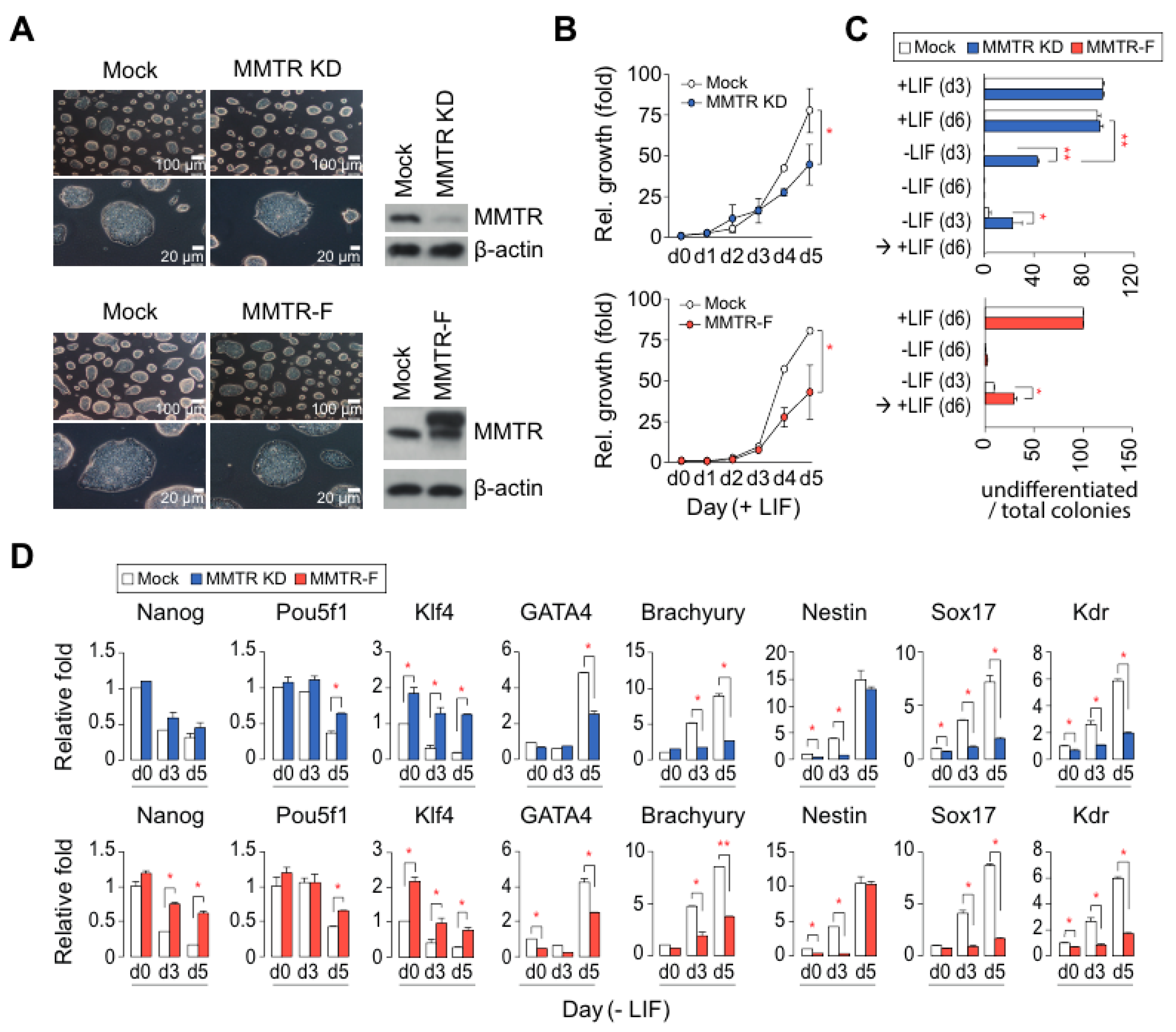 Cells 09 01190 g001 Cells 09 01190 g001