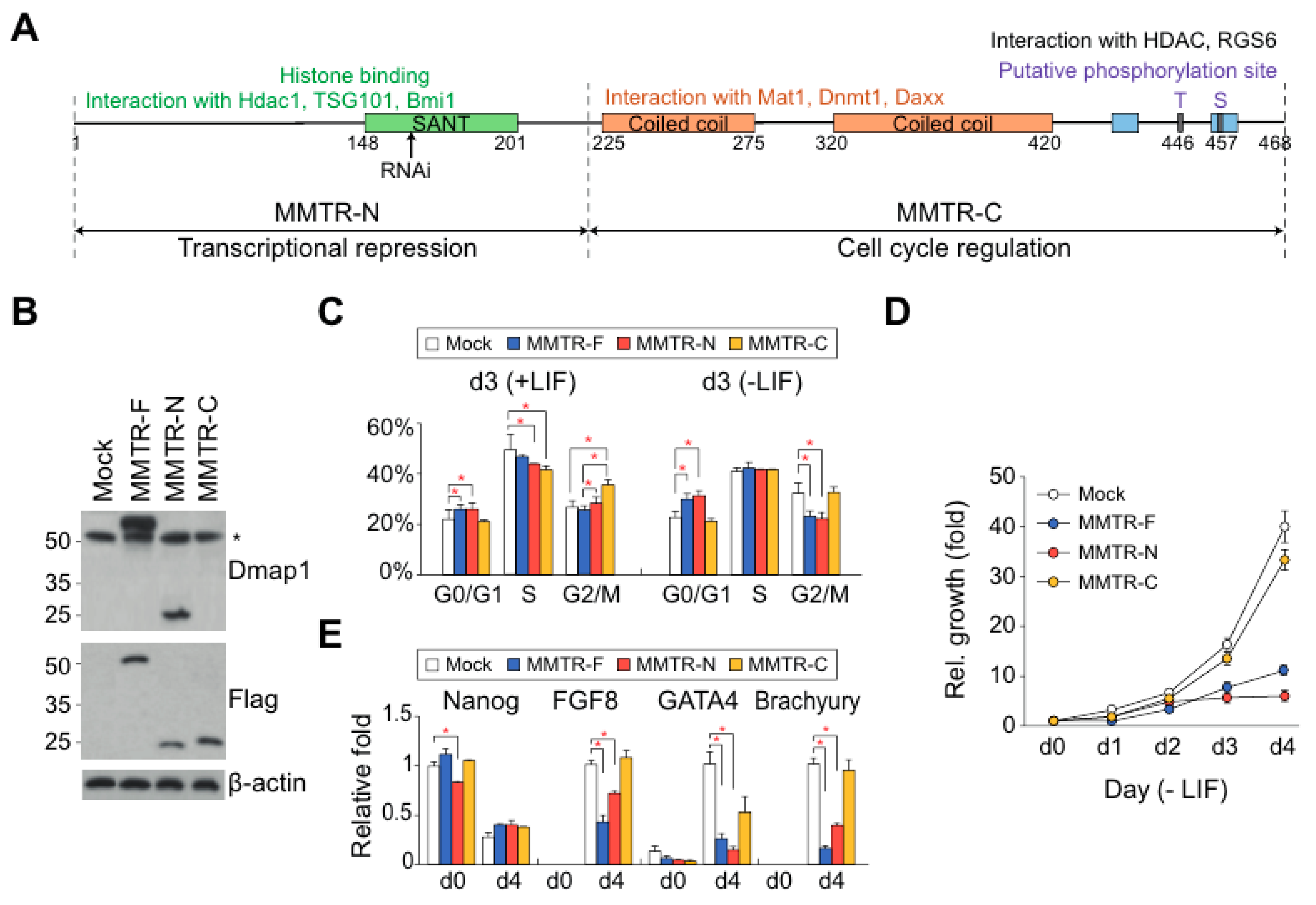 Cells 09 01190 g002 Cells 09 01190 g002