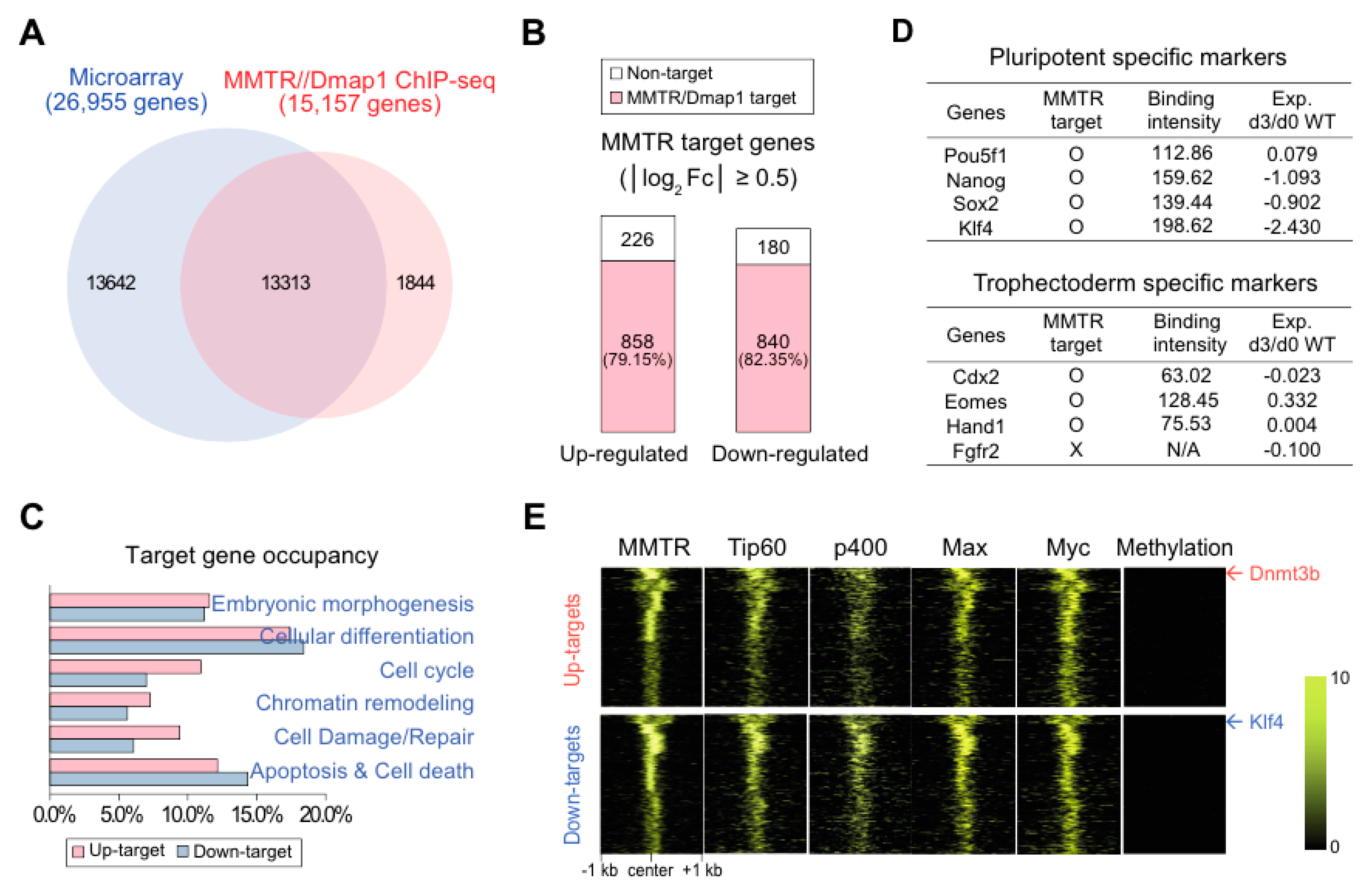 Cells 09 01190 g003 Cells 09 01190 g003
